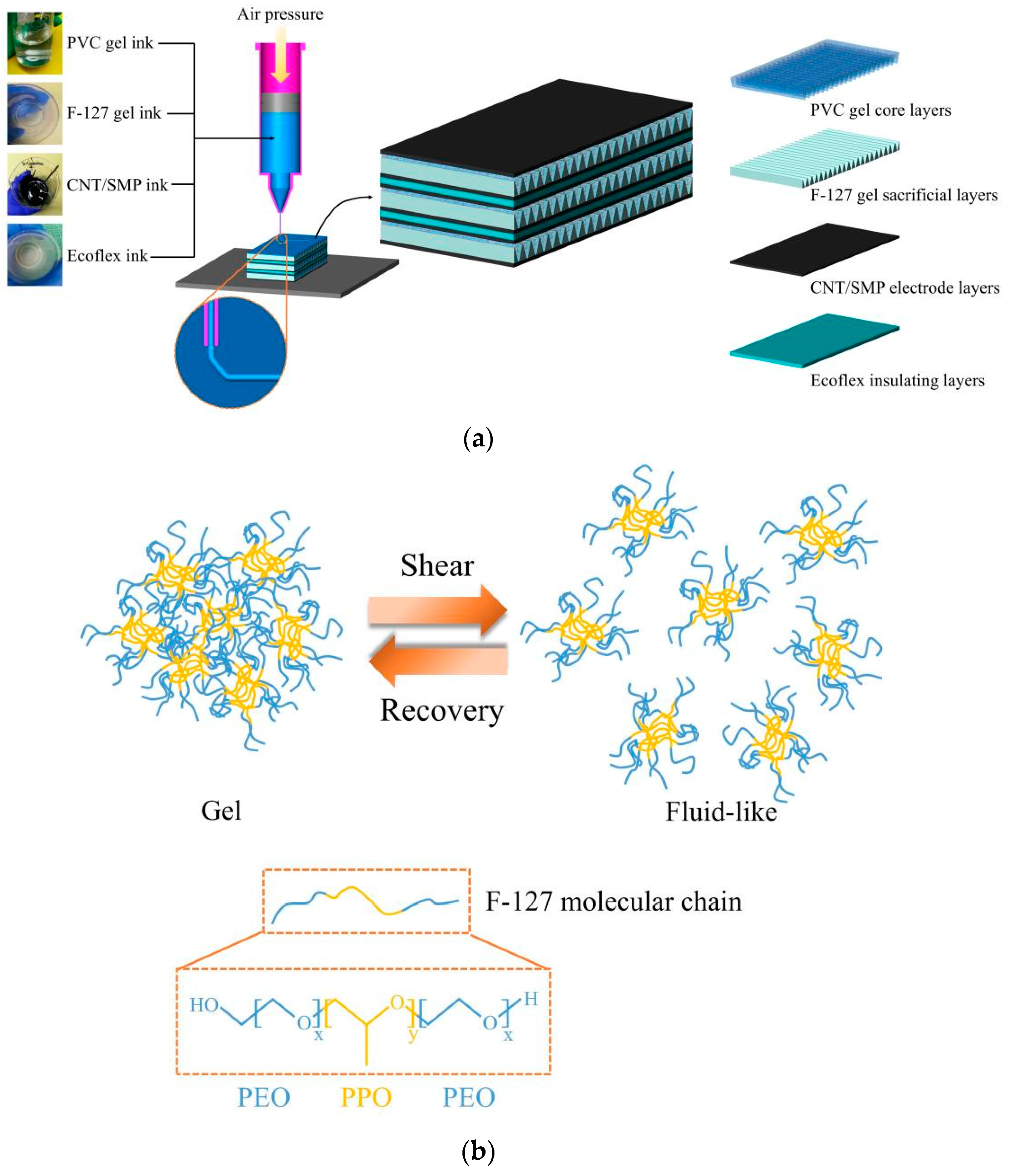 Polymers 13 02734 g002