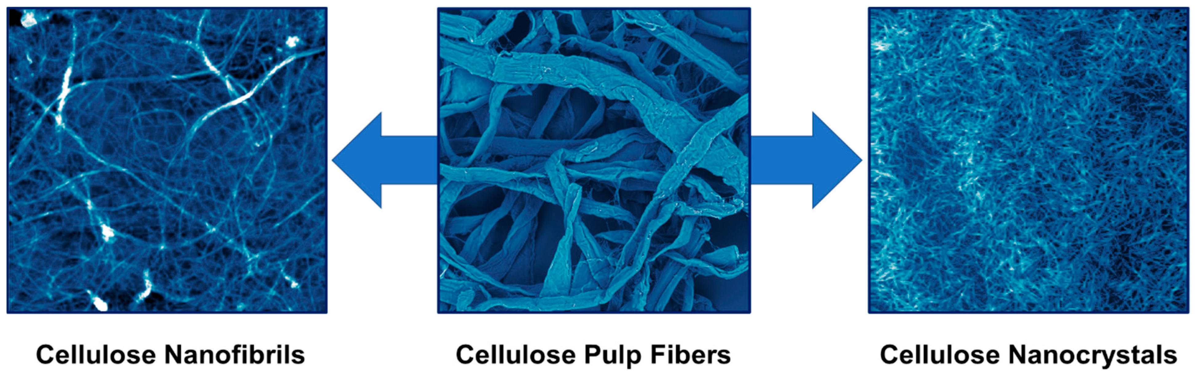 Polymers 13 02739 g001