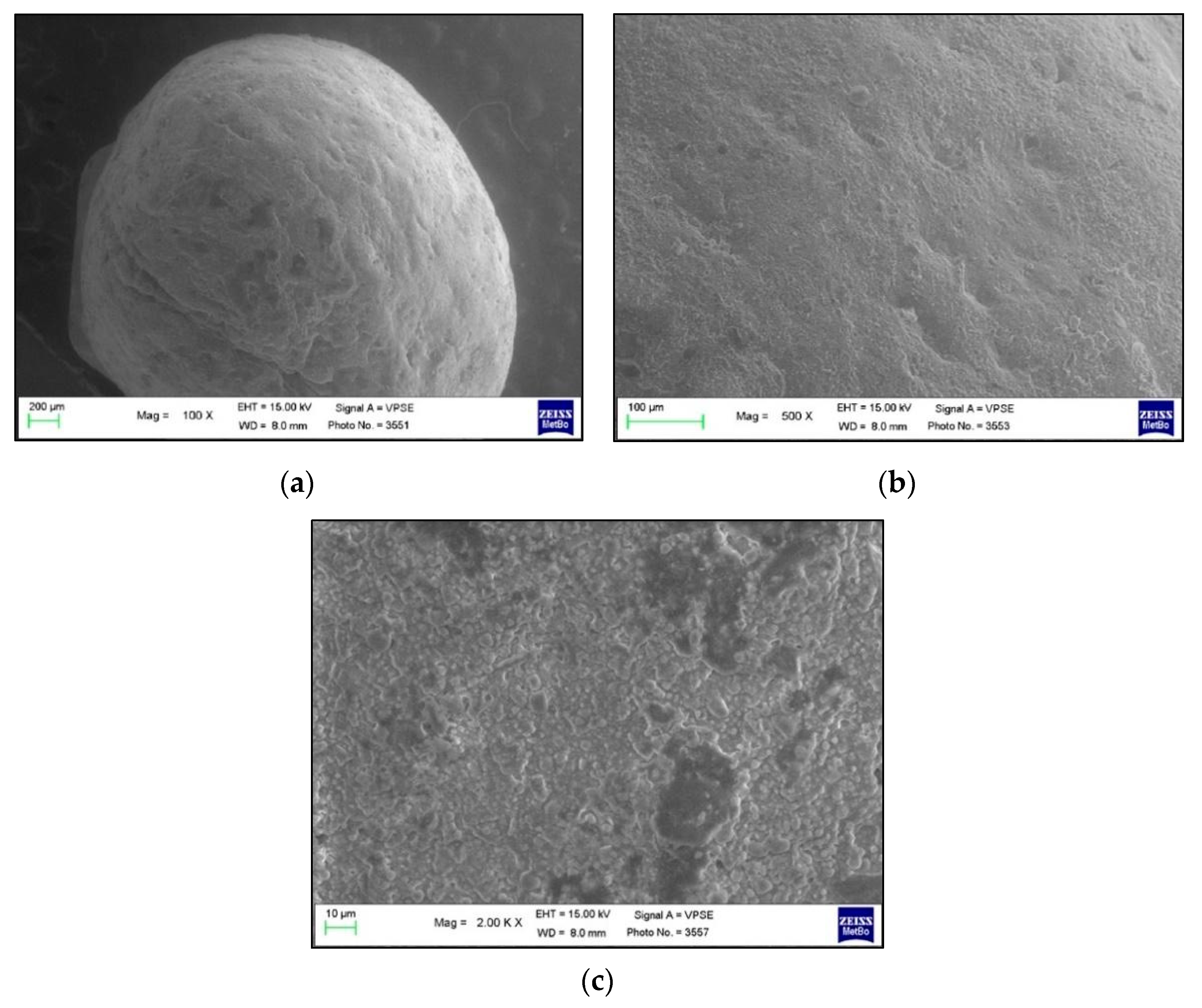 Polymers 13 02740 g003