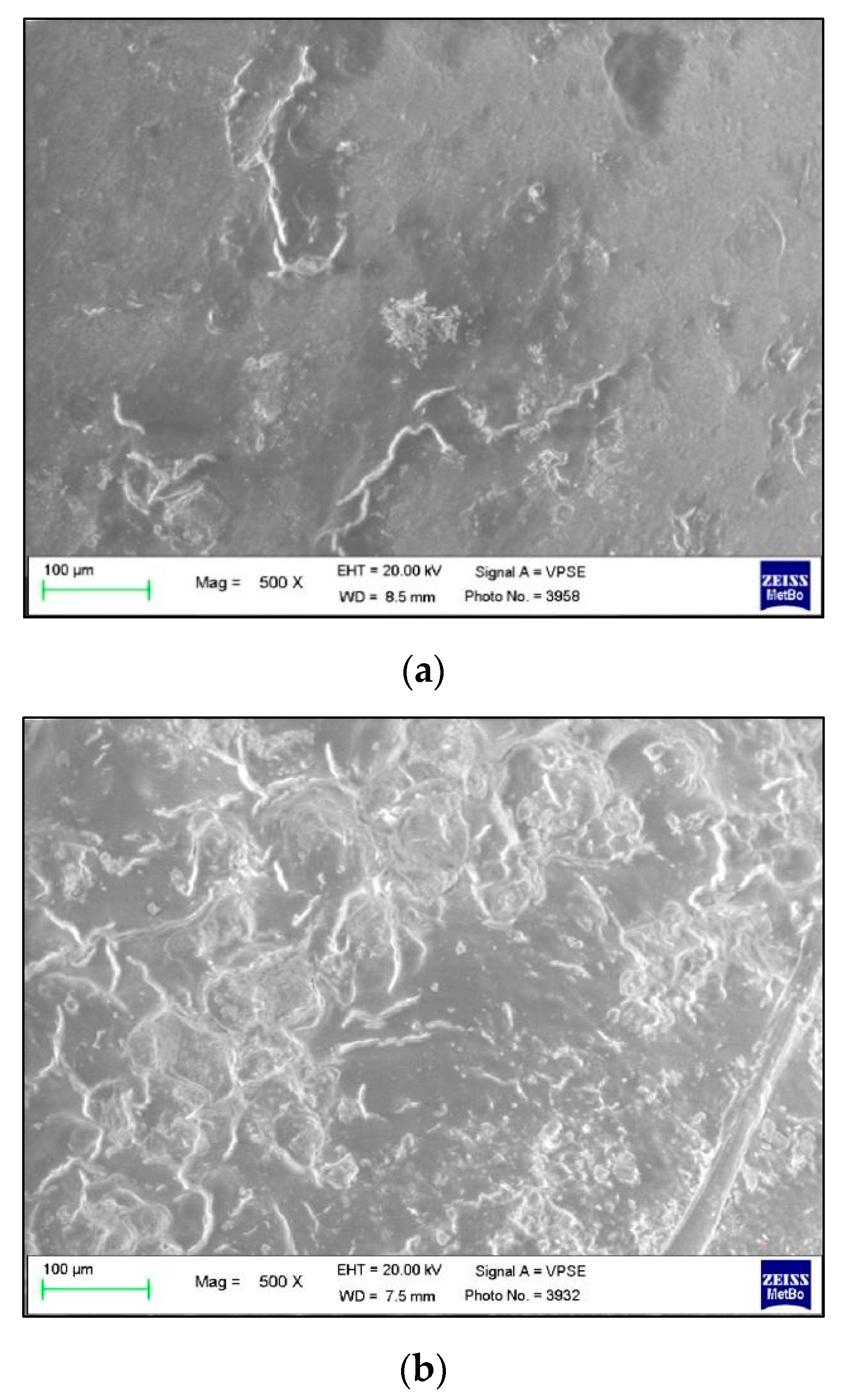 Polymers 13 02740 g006