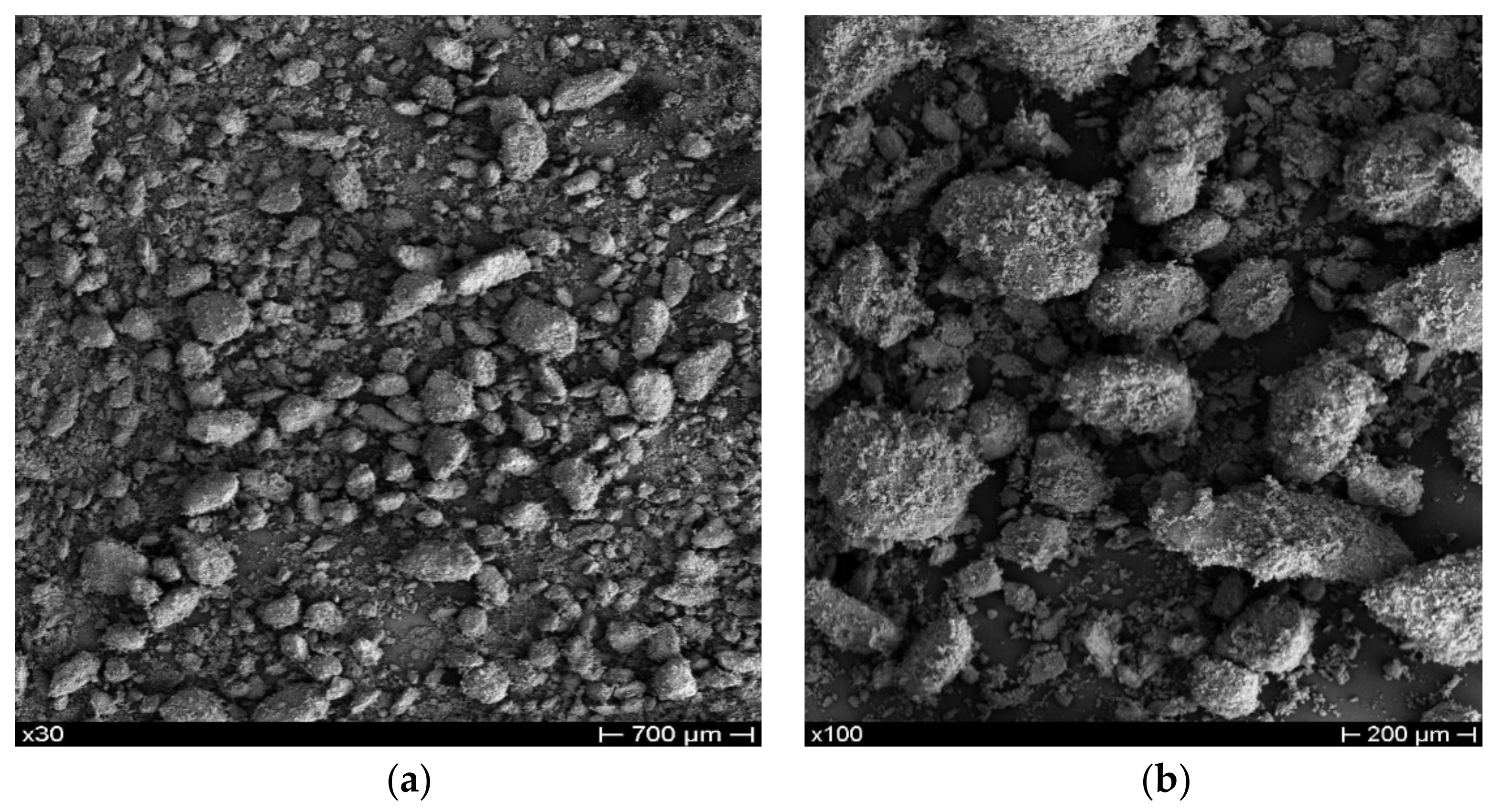 Polymers 13 02751 g002