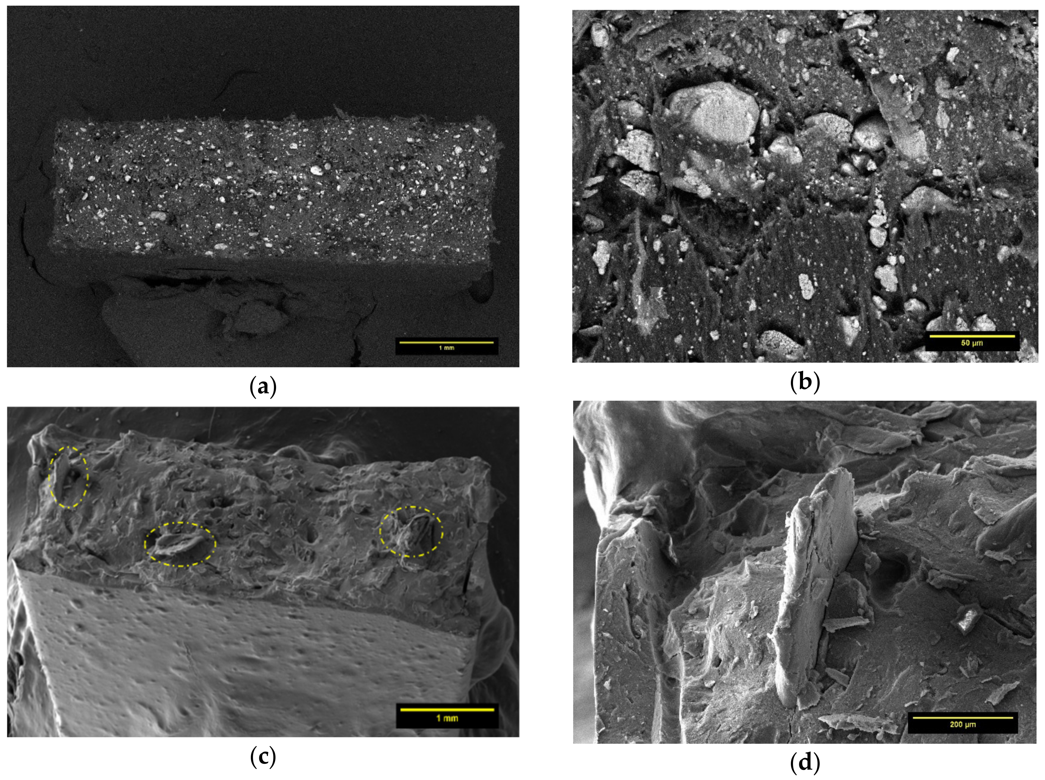 Polymers 13 02751 g008