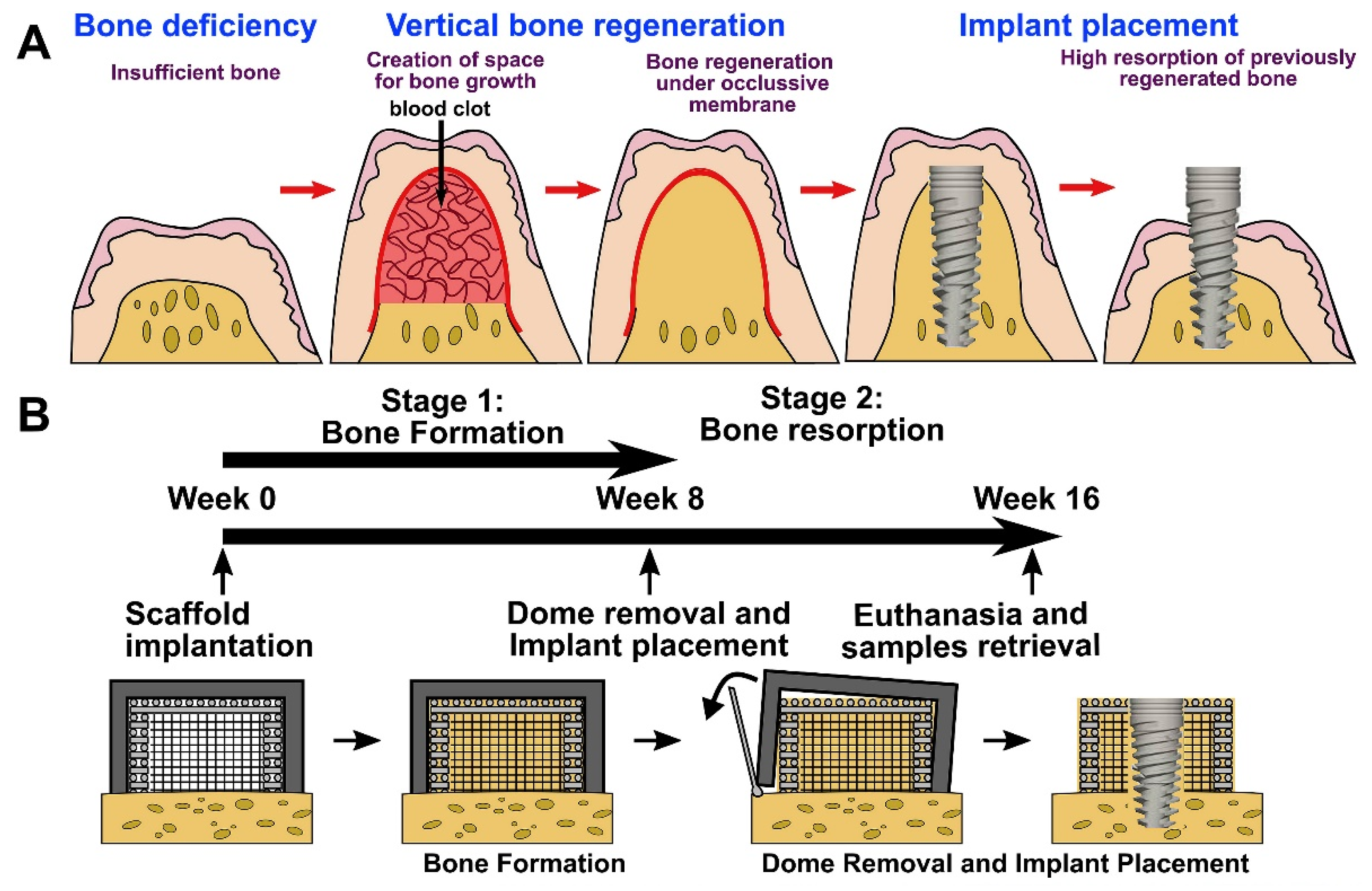 Polymers 13 02754 g005