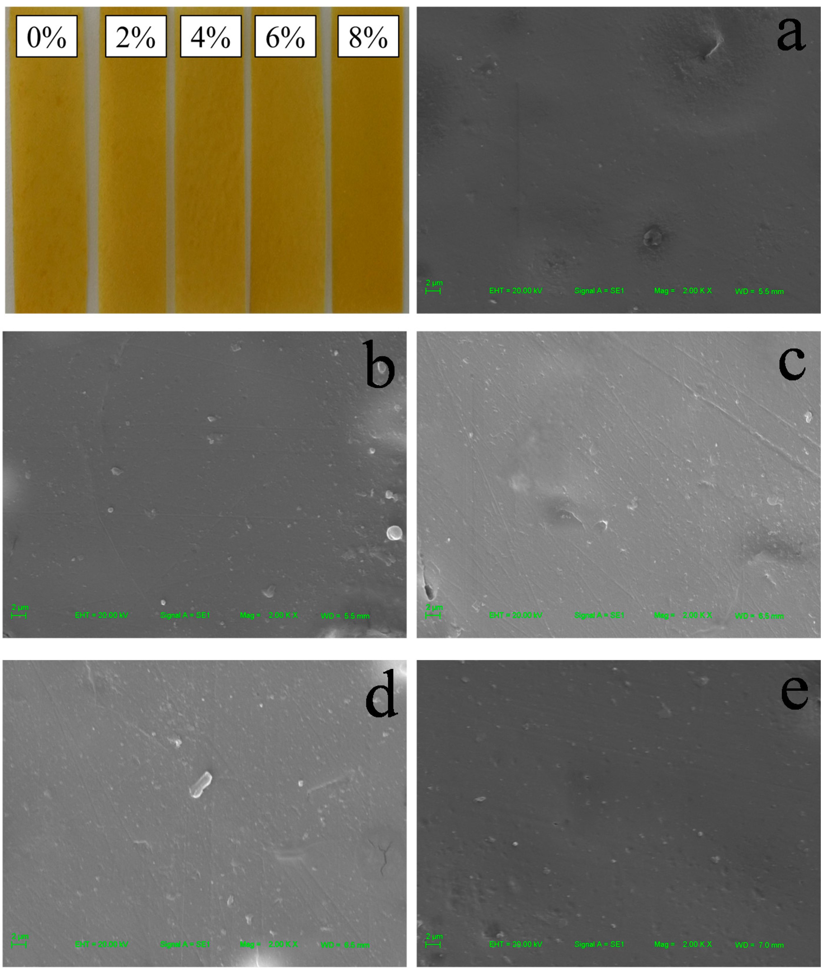 Polymers 13 02759 g001