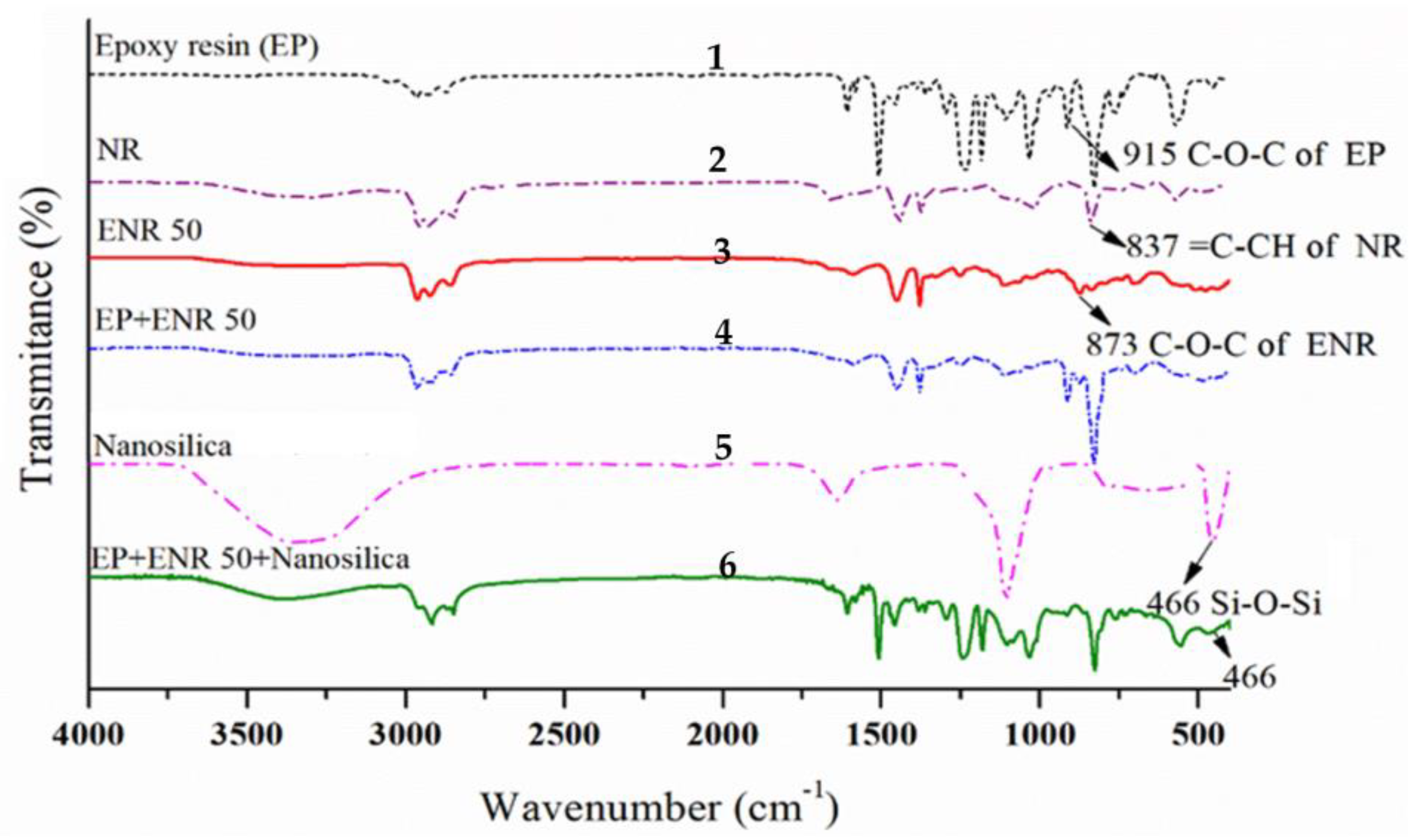 Polymers 13 02761 g002