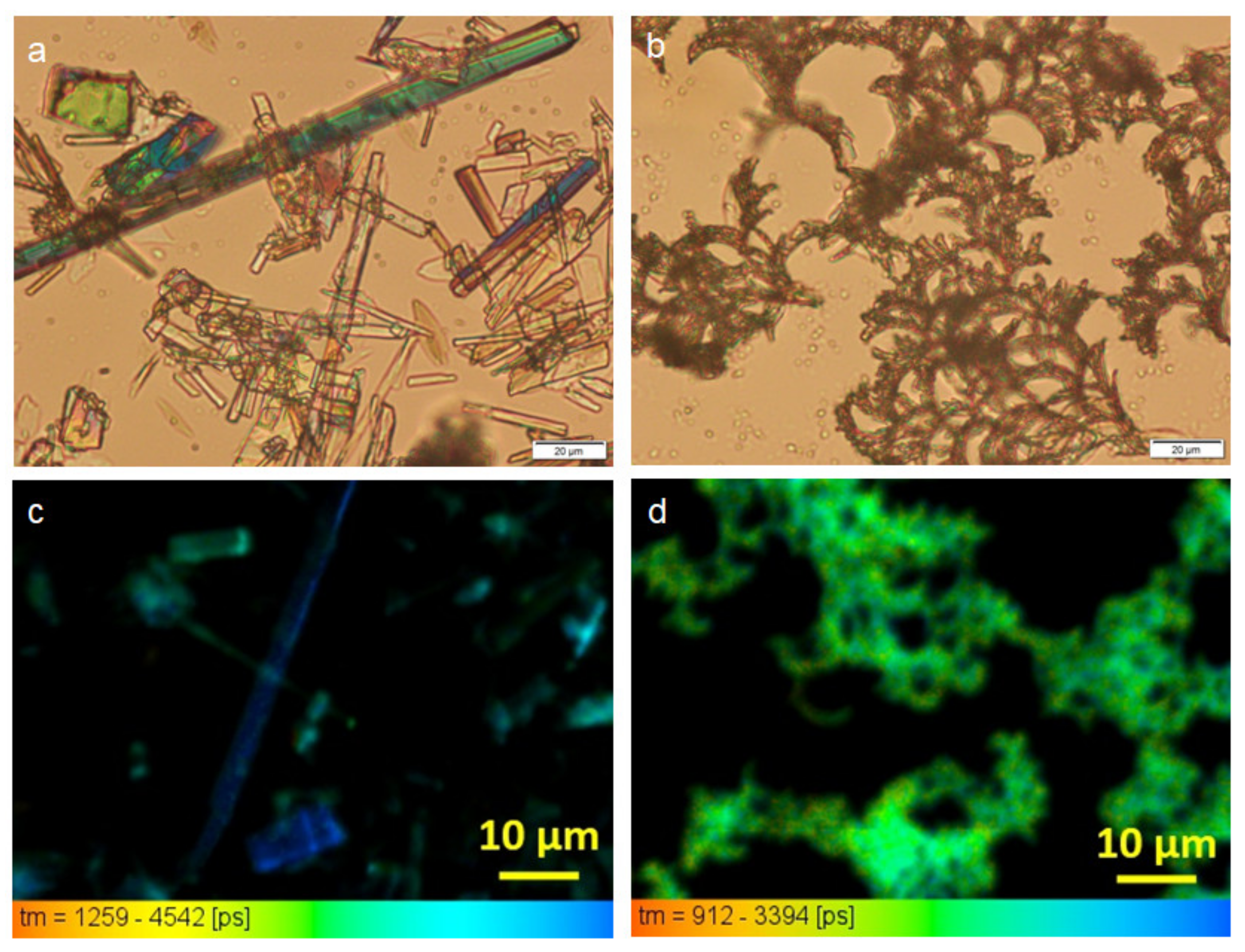 Polymers 13 02762 g003