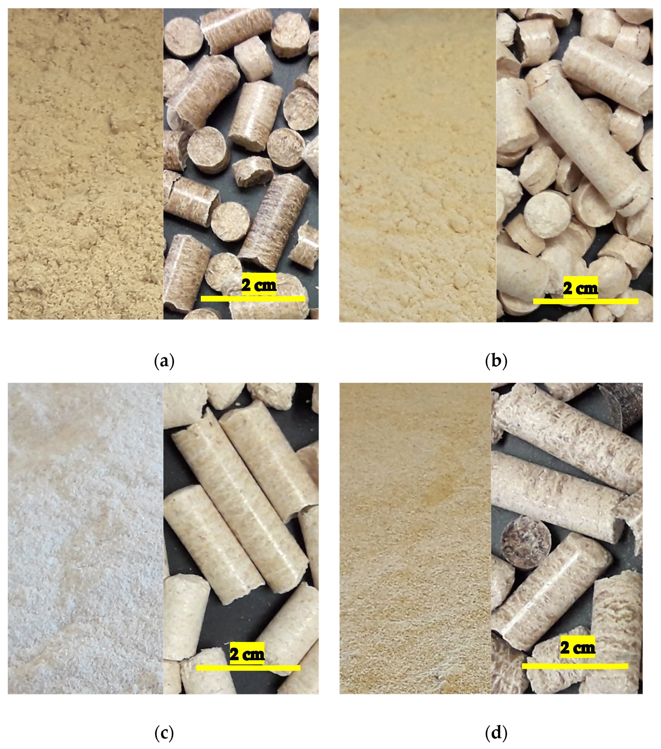 Polymers 13 02769 g001