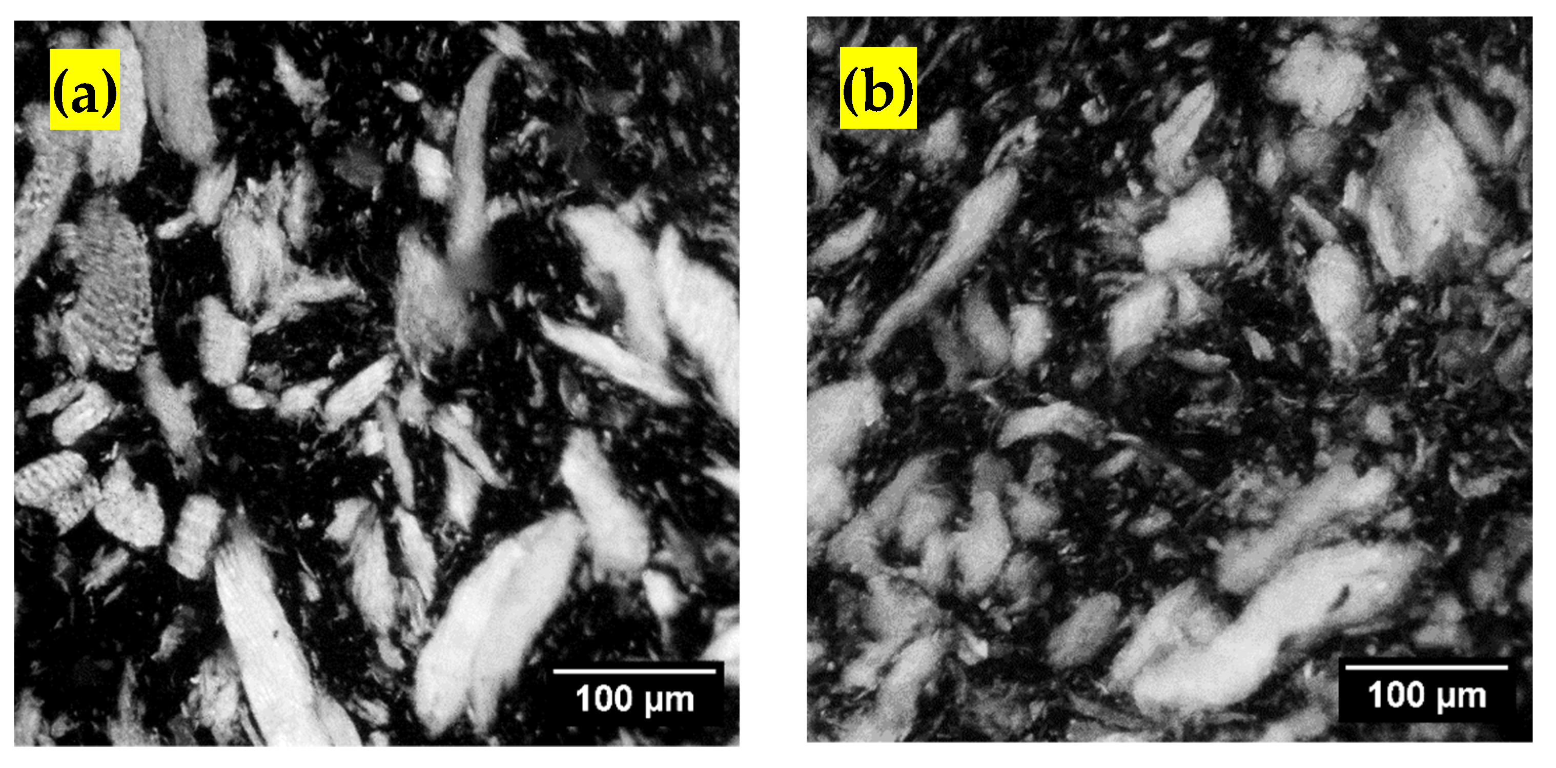 Polymers 13 02769 g002a