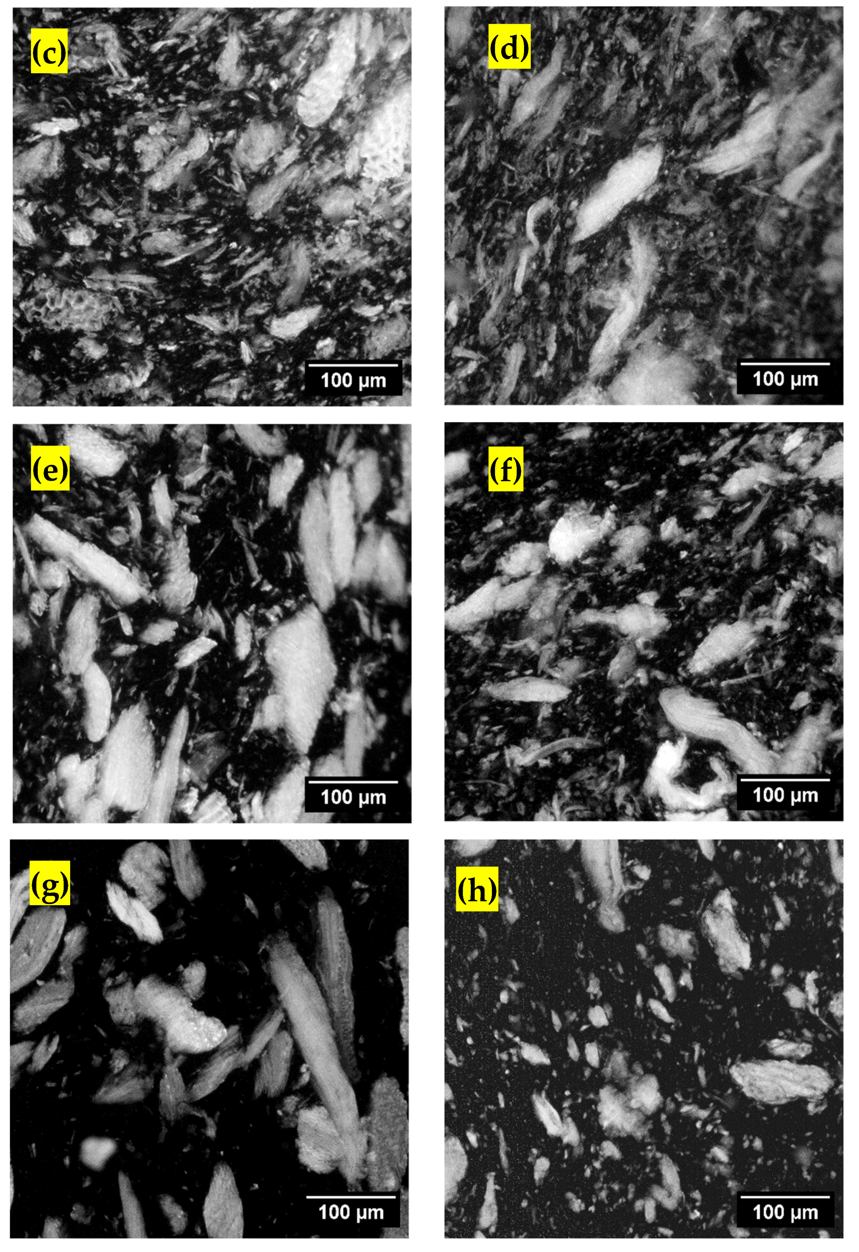 Polymers 13 02769 g002b