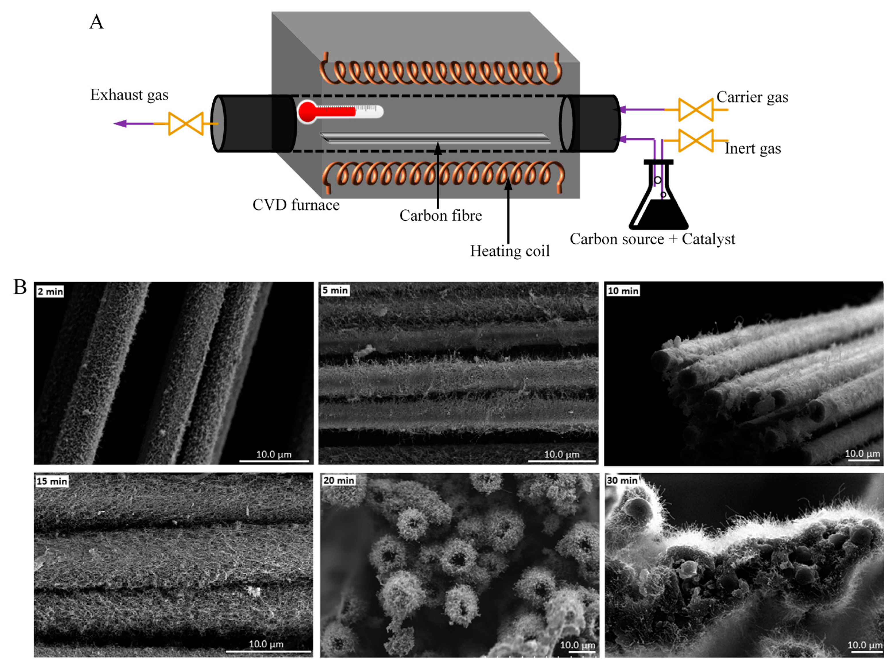 Polymers 13 02771 g005