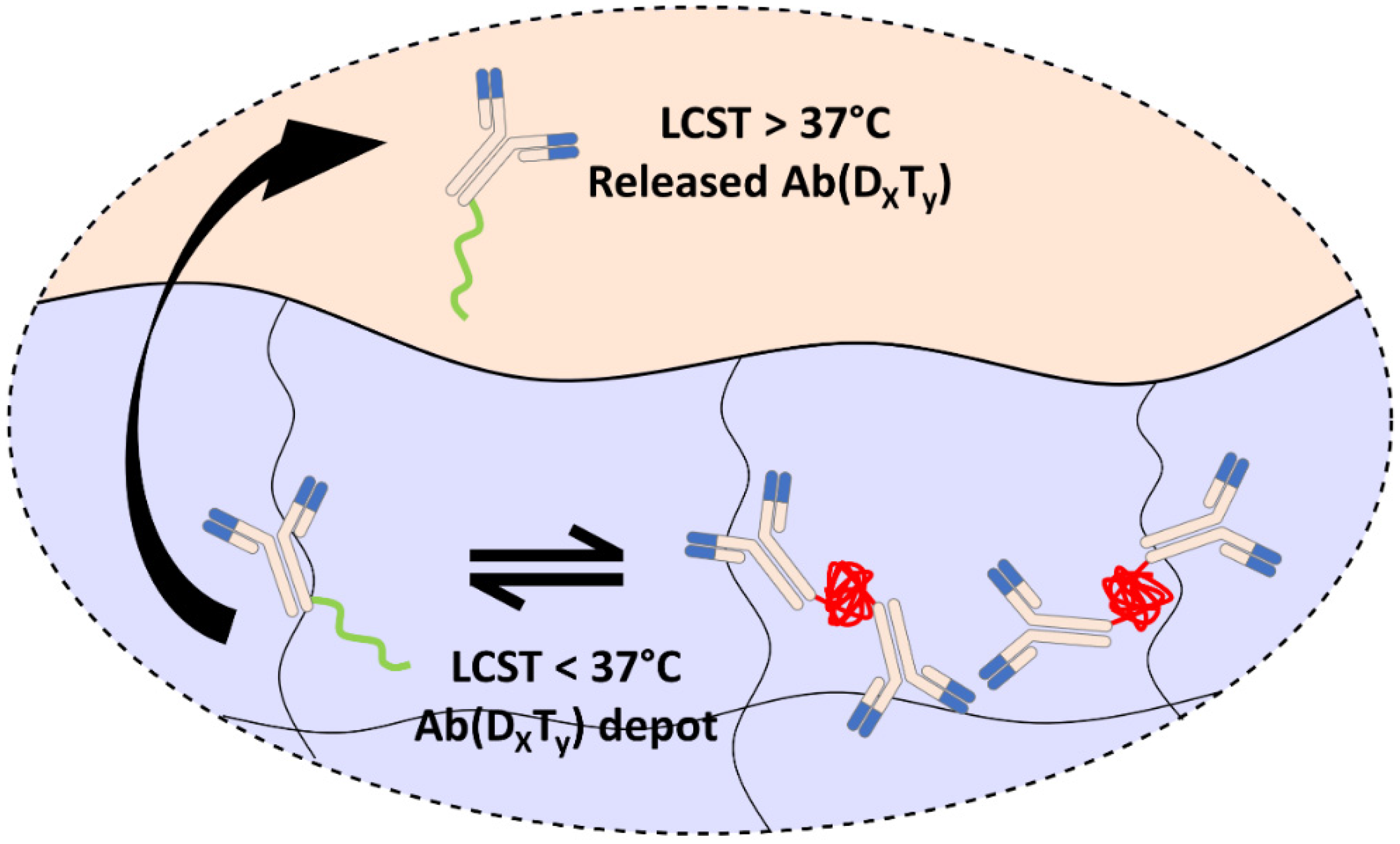 Polymers 13 02772 g001