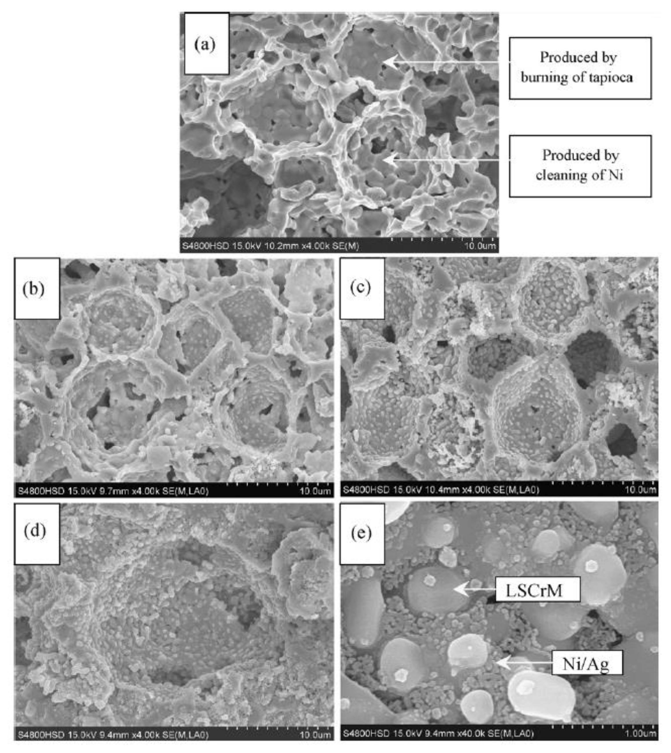 Polymers 13 02774 g005