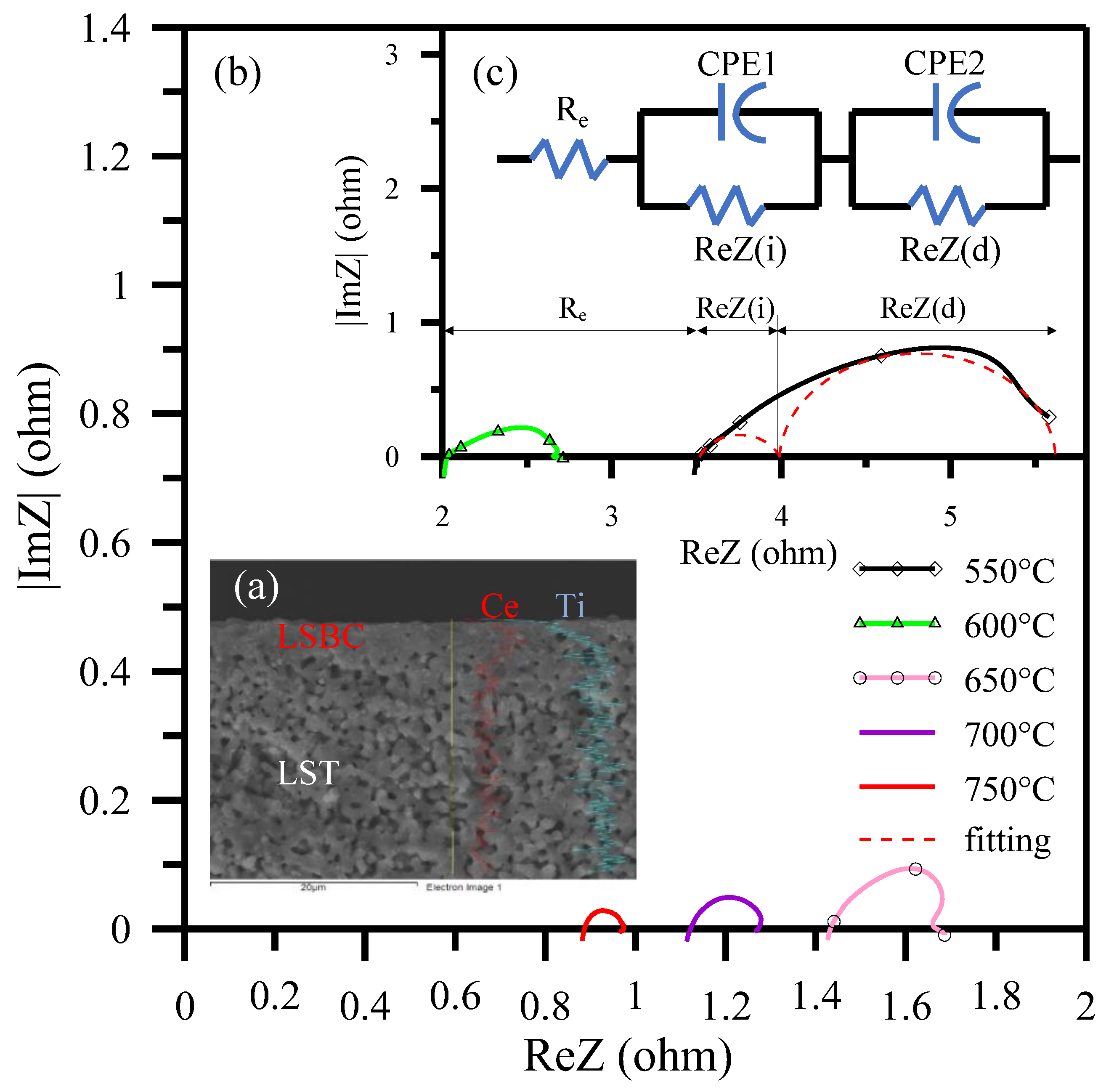 Polymers 13 02774 g014
