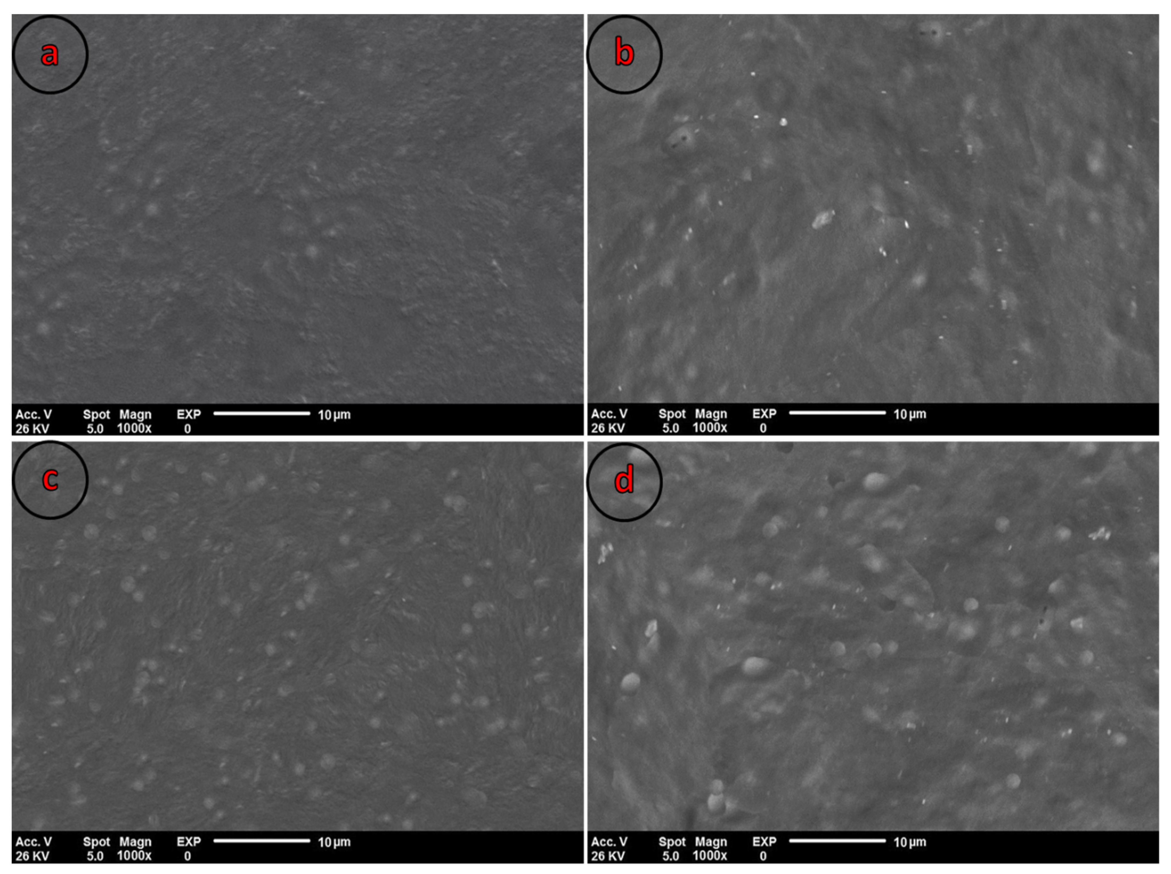 Polymers 13 02778 g002