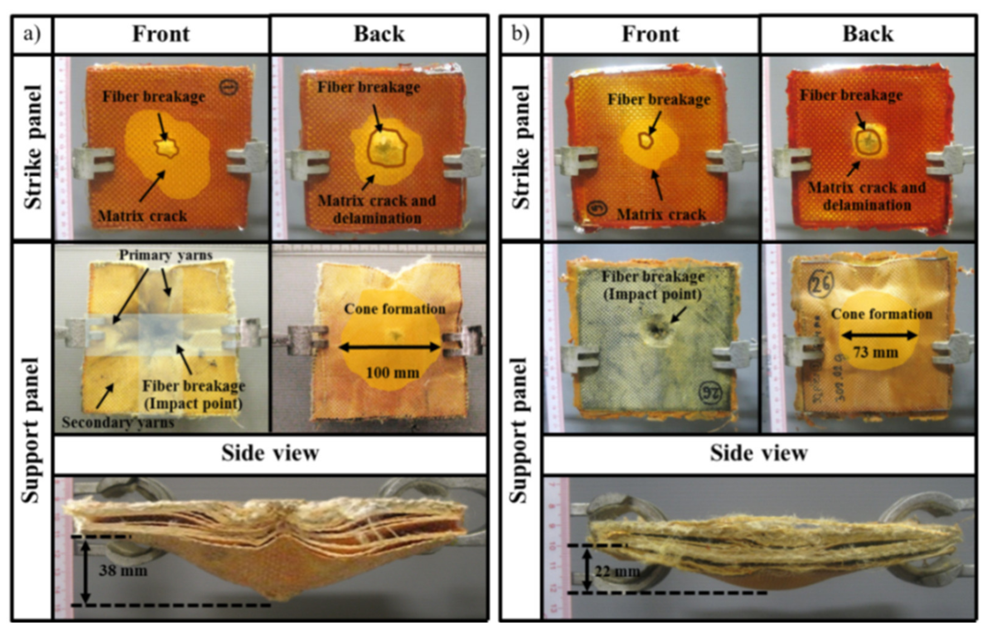 Polymers 13 02779 g007