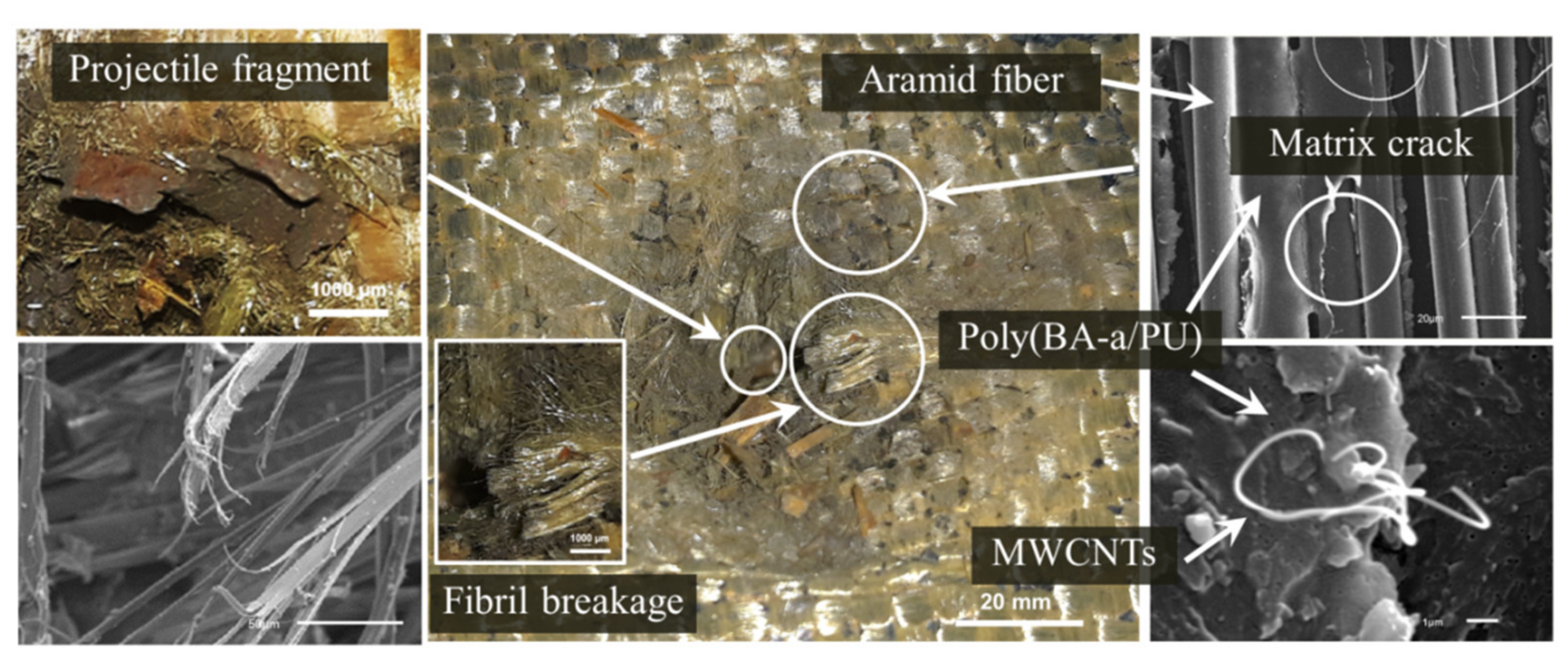 Polymers 13 02779 g008