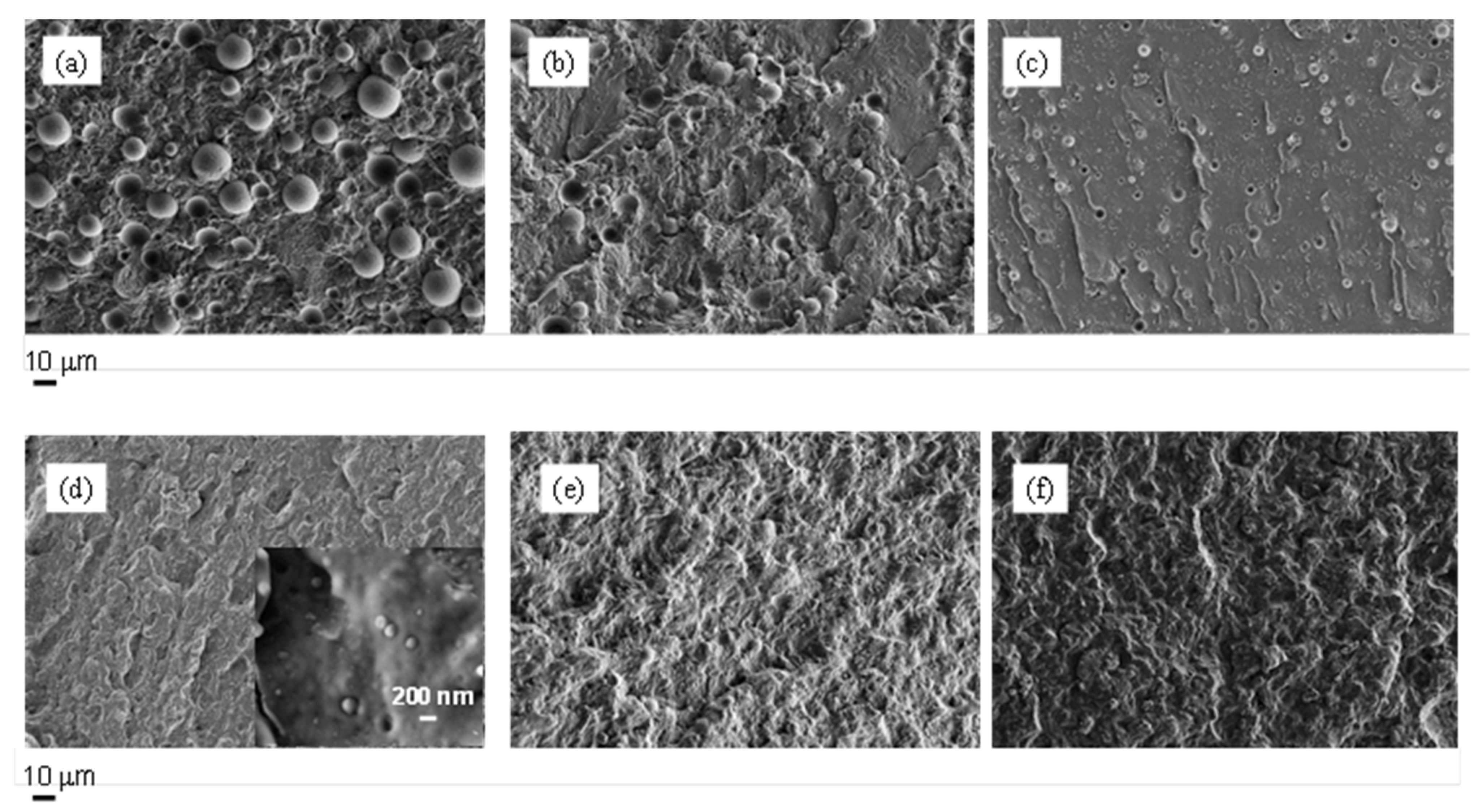 Polymers 13 02780 g001