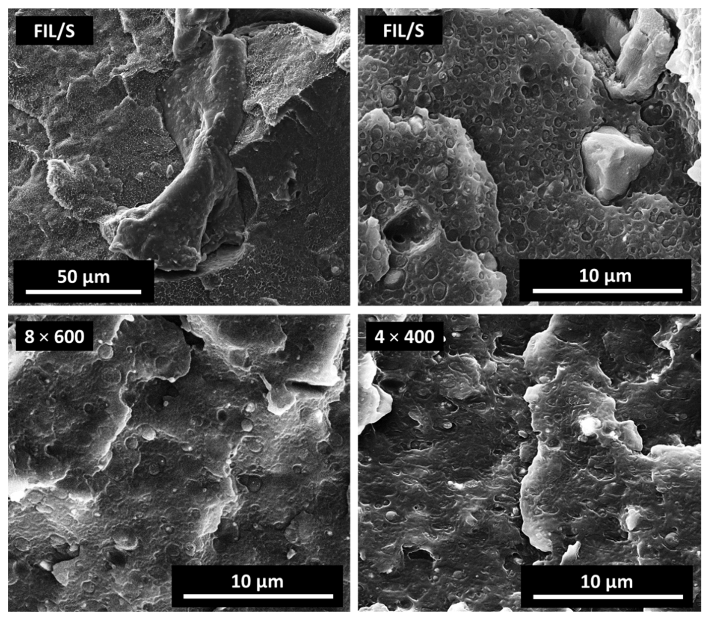 Polymers 13 02783 g003