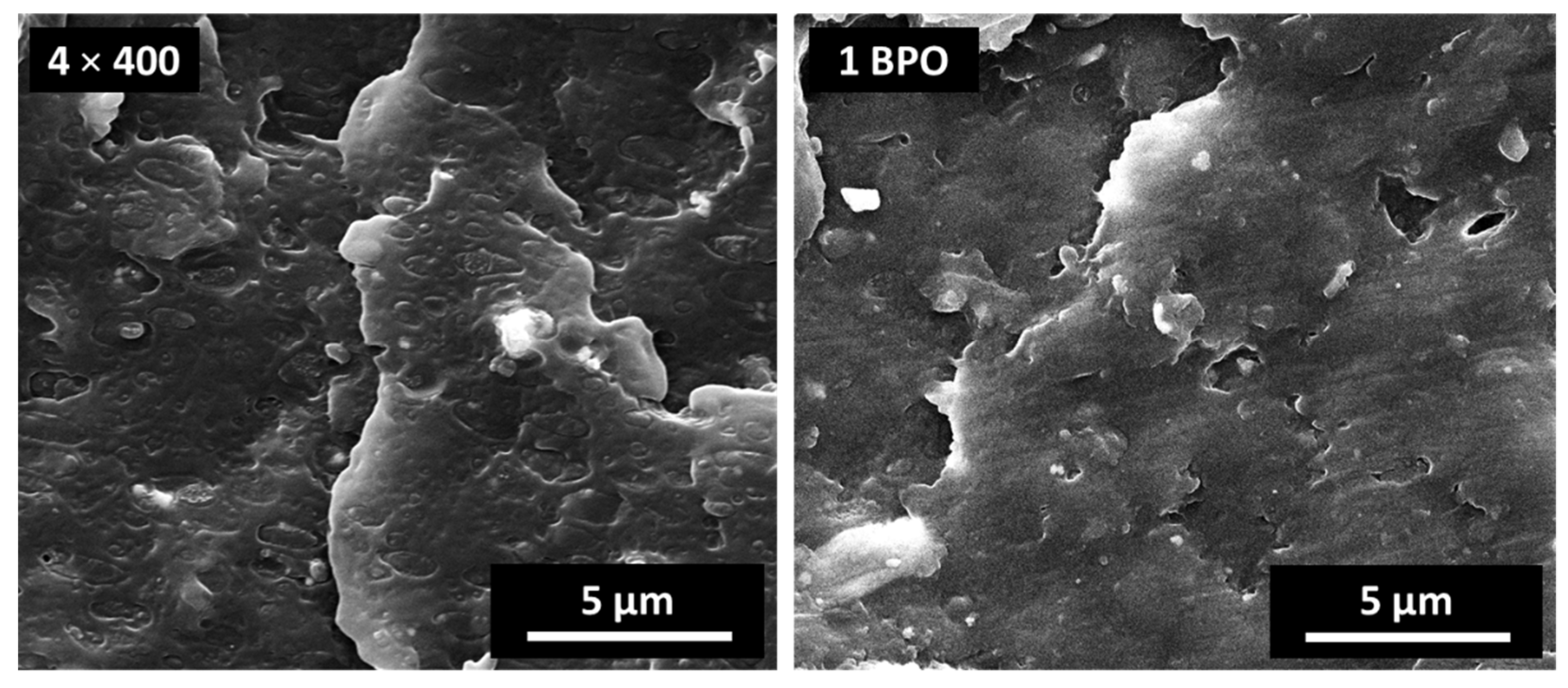 Polymers 13 02783 g004