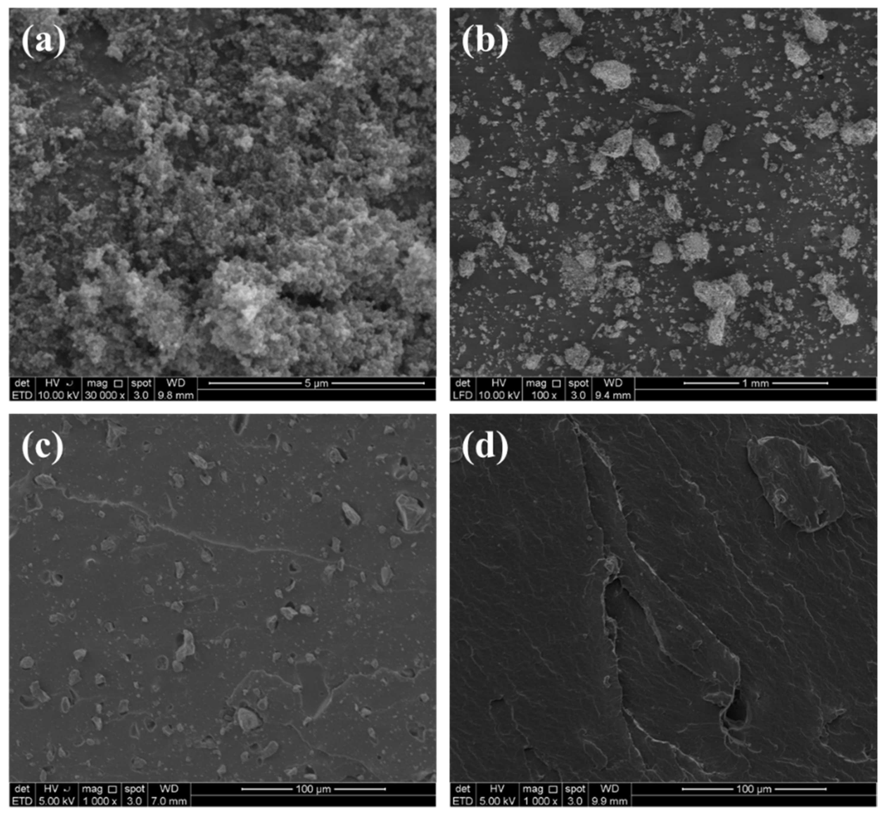 Polymers 13 02796 g009