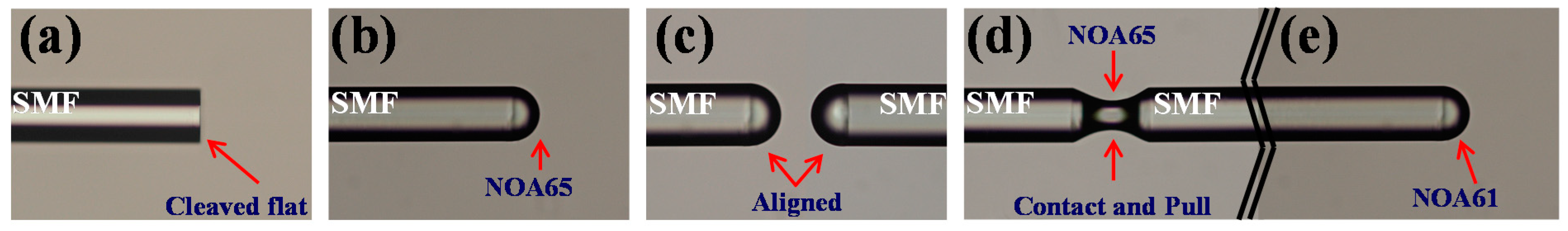 Polymers 13 02798 g002