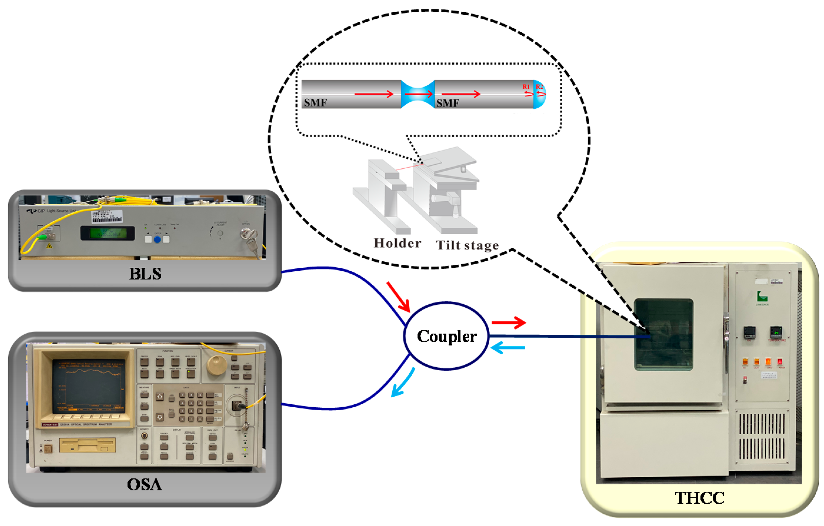 Polymers 13 02798 g003