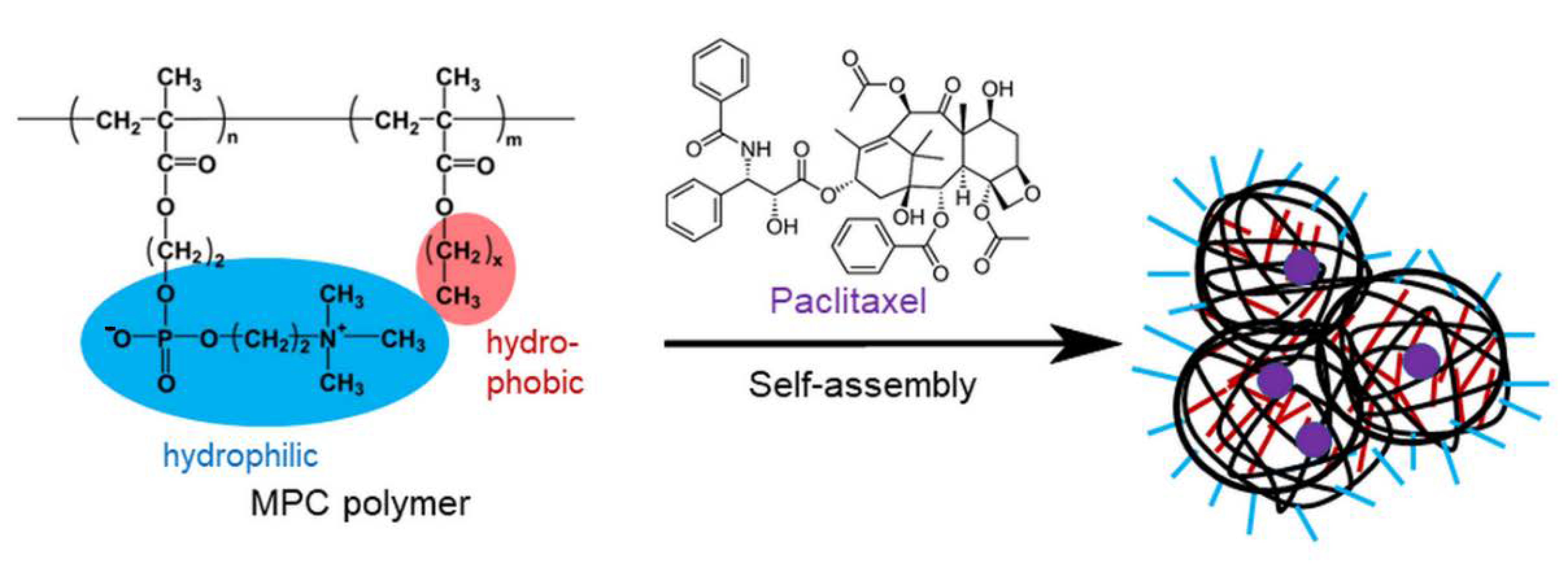 Polymers 13 02805 g001