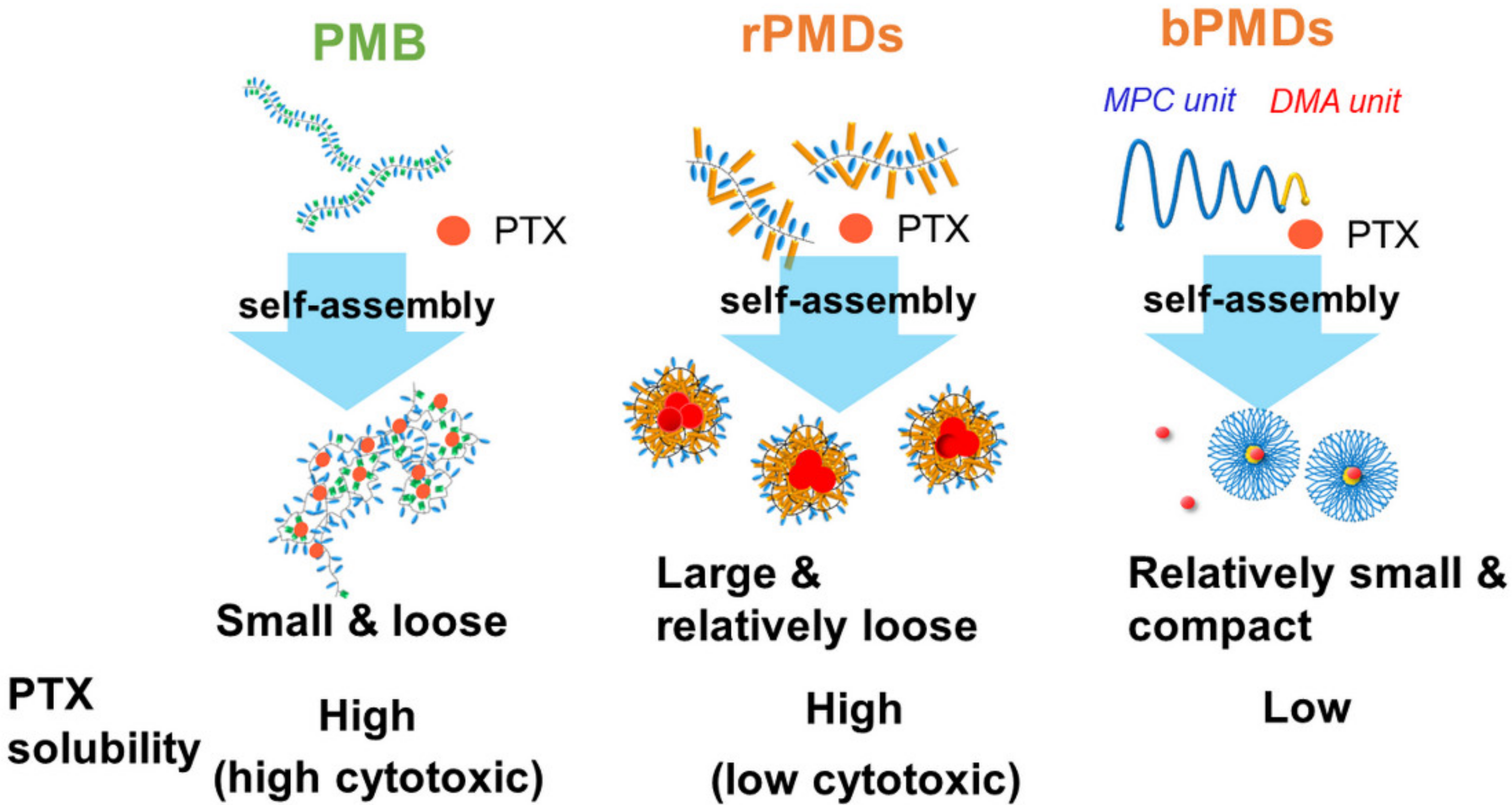 Polymers 13 02805 g007