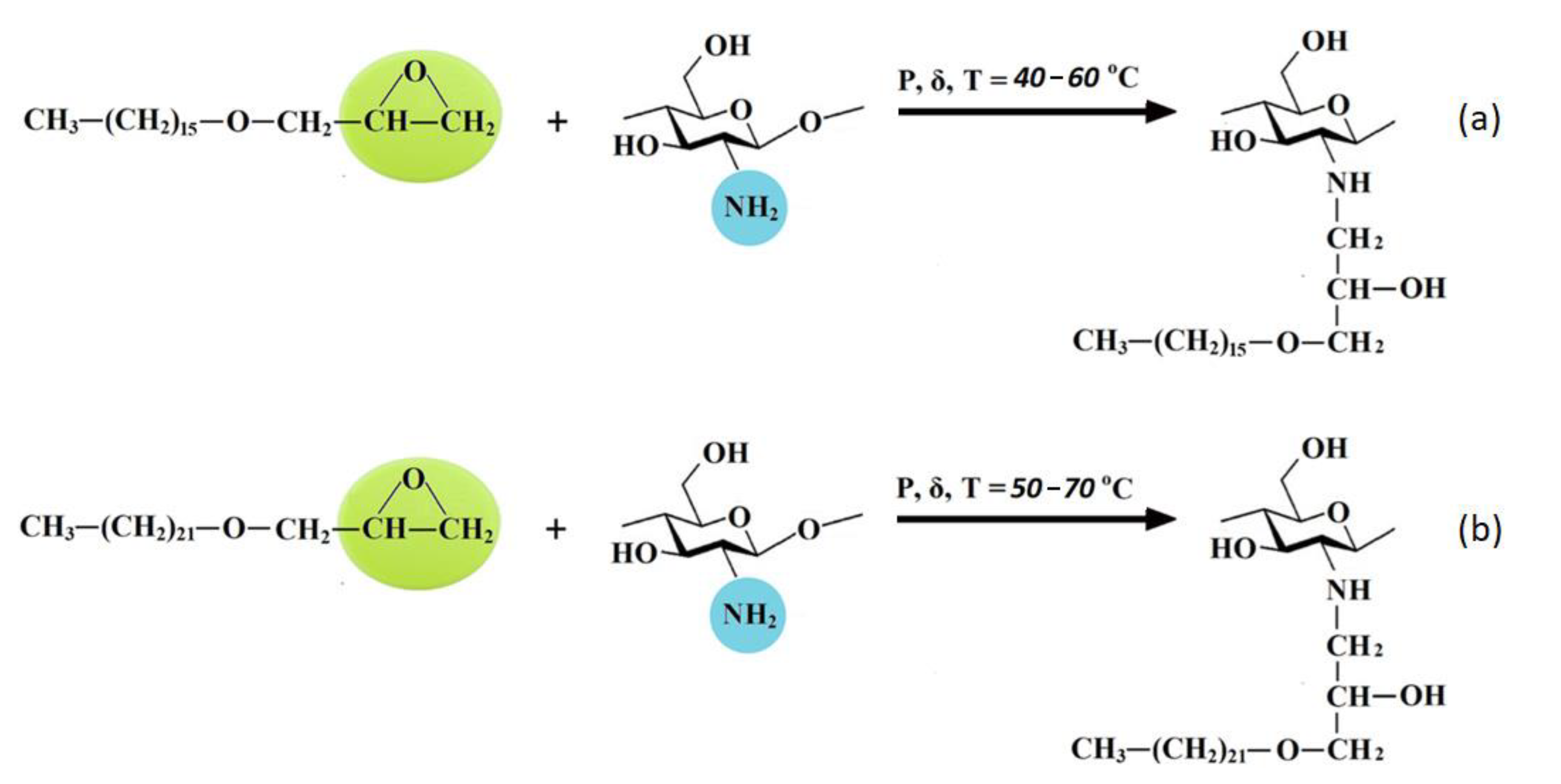 Polymers 13 02807 g007