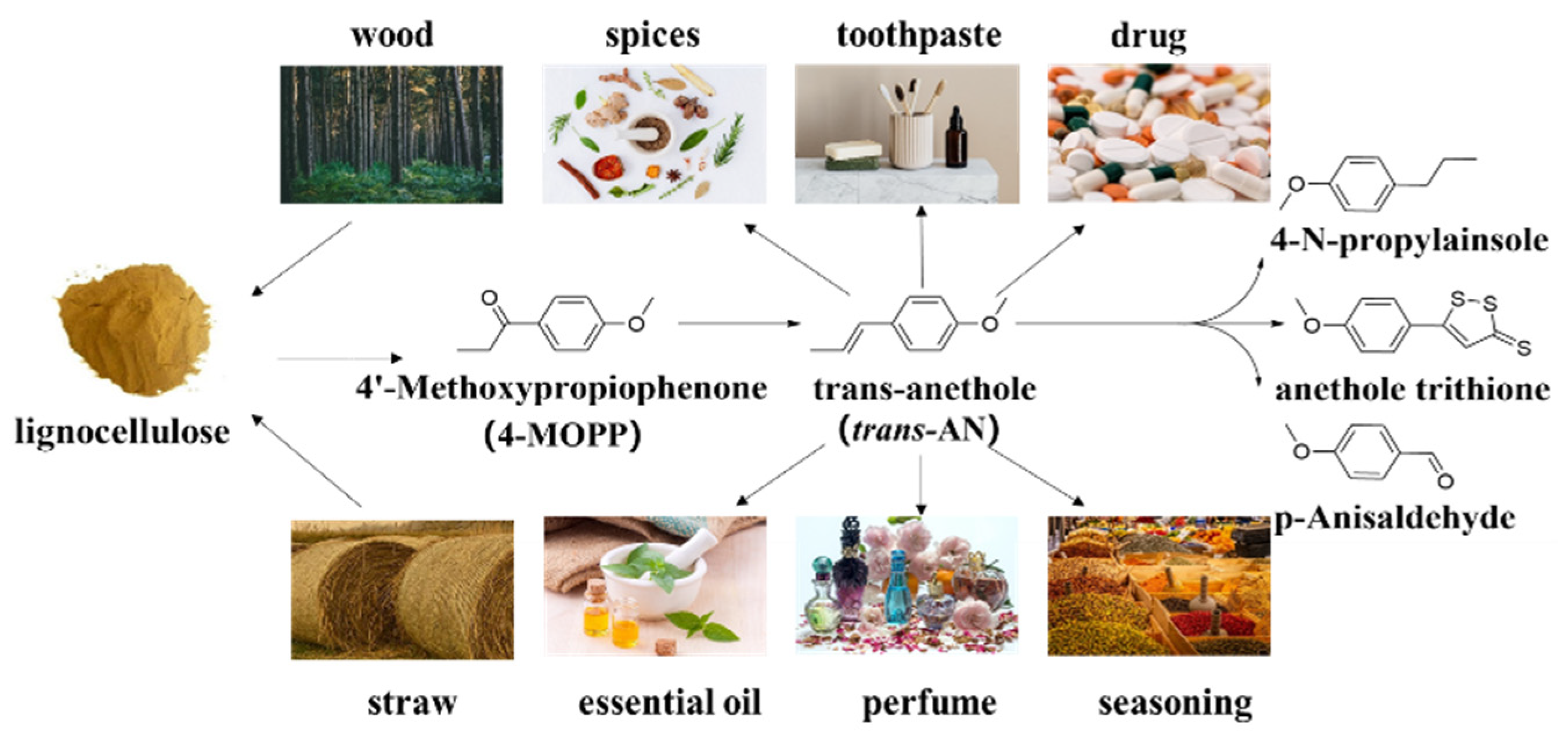 Polymers 13 02808 g001