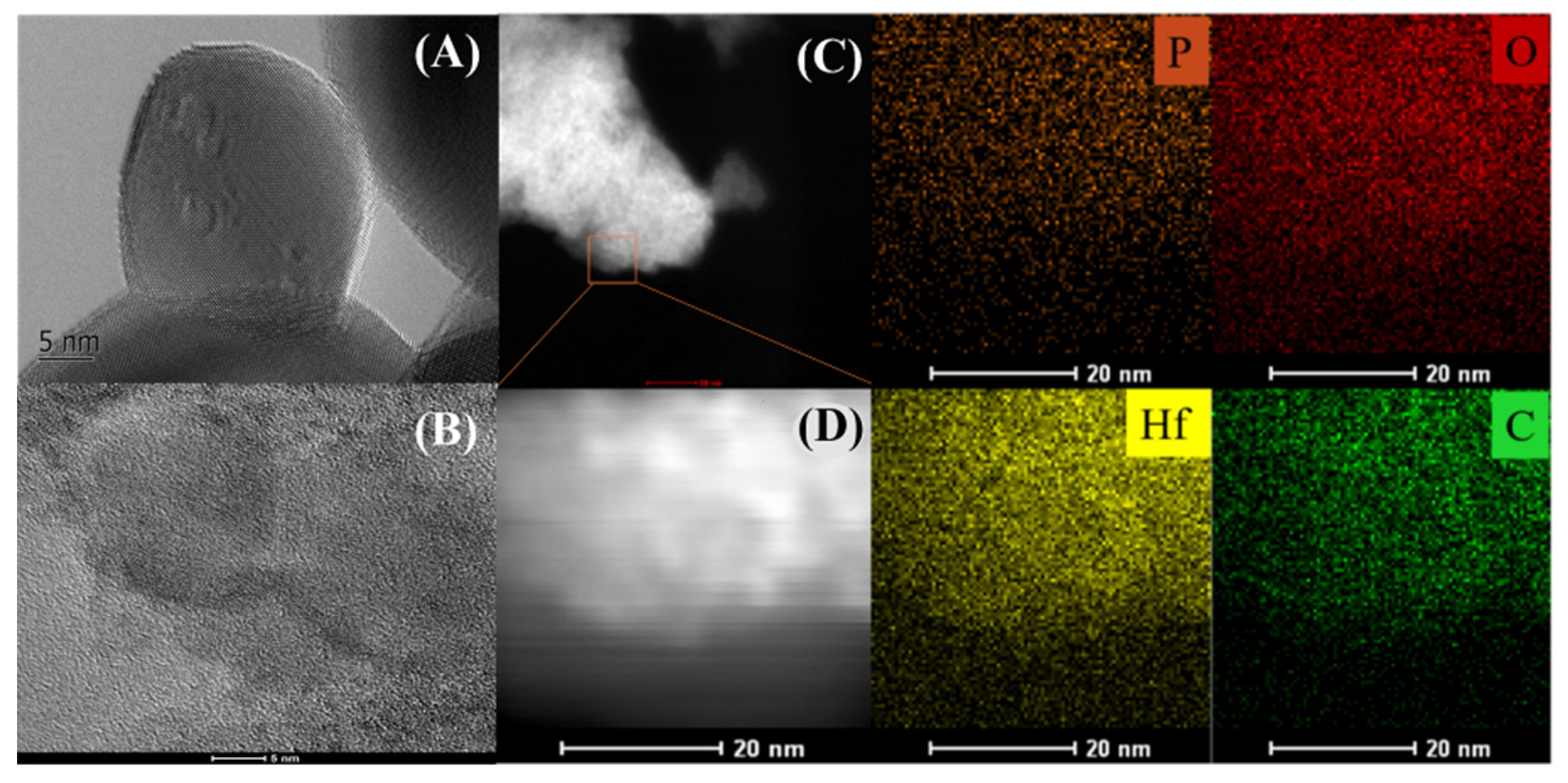 Polymers 13 02808 g003