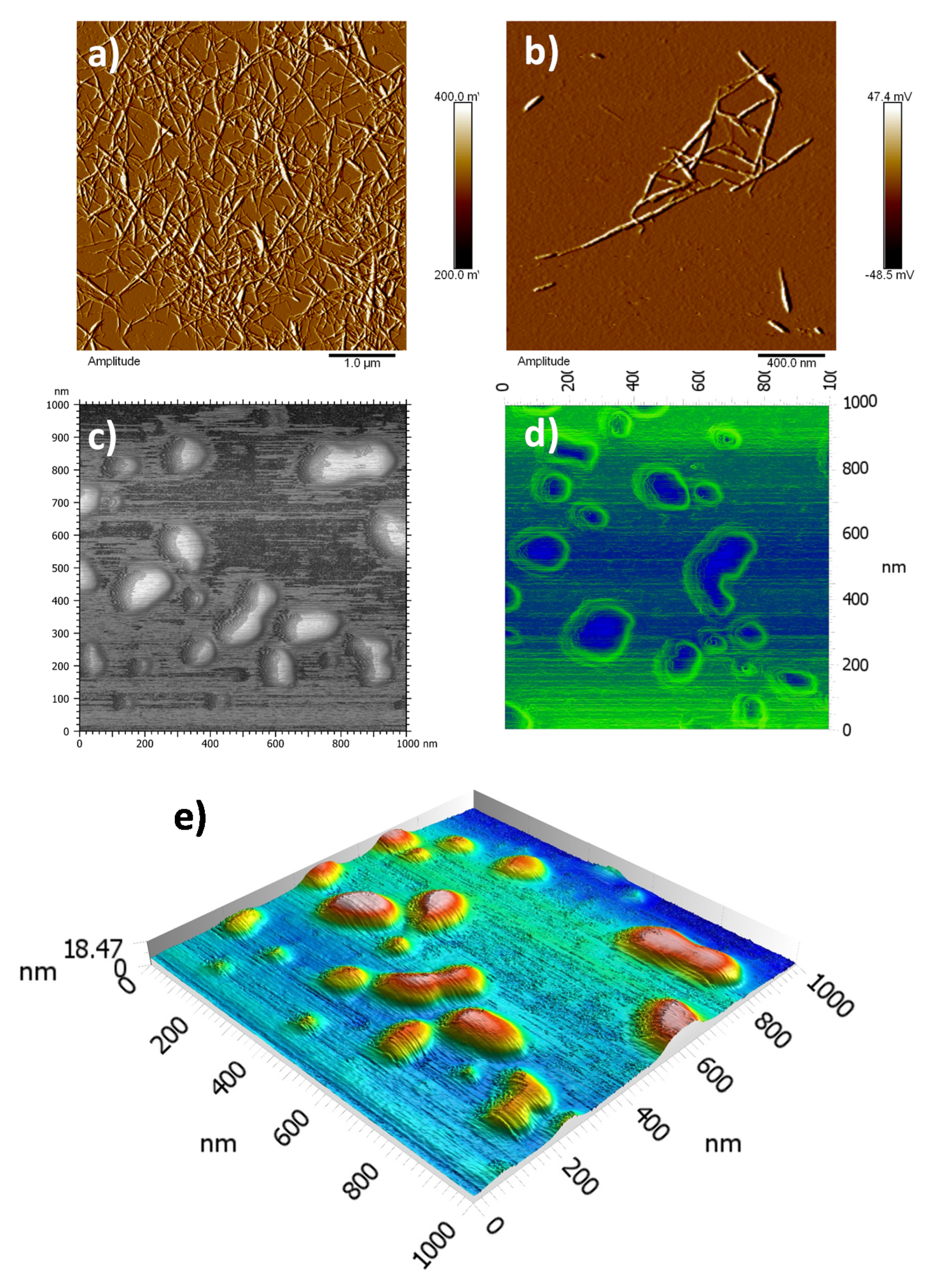 Polymers 13 02810 g004