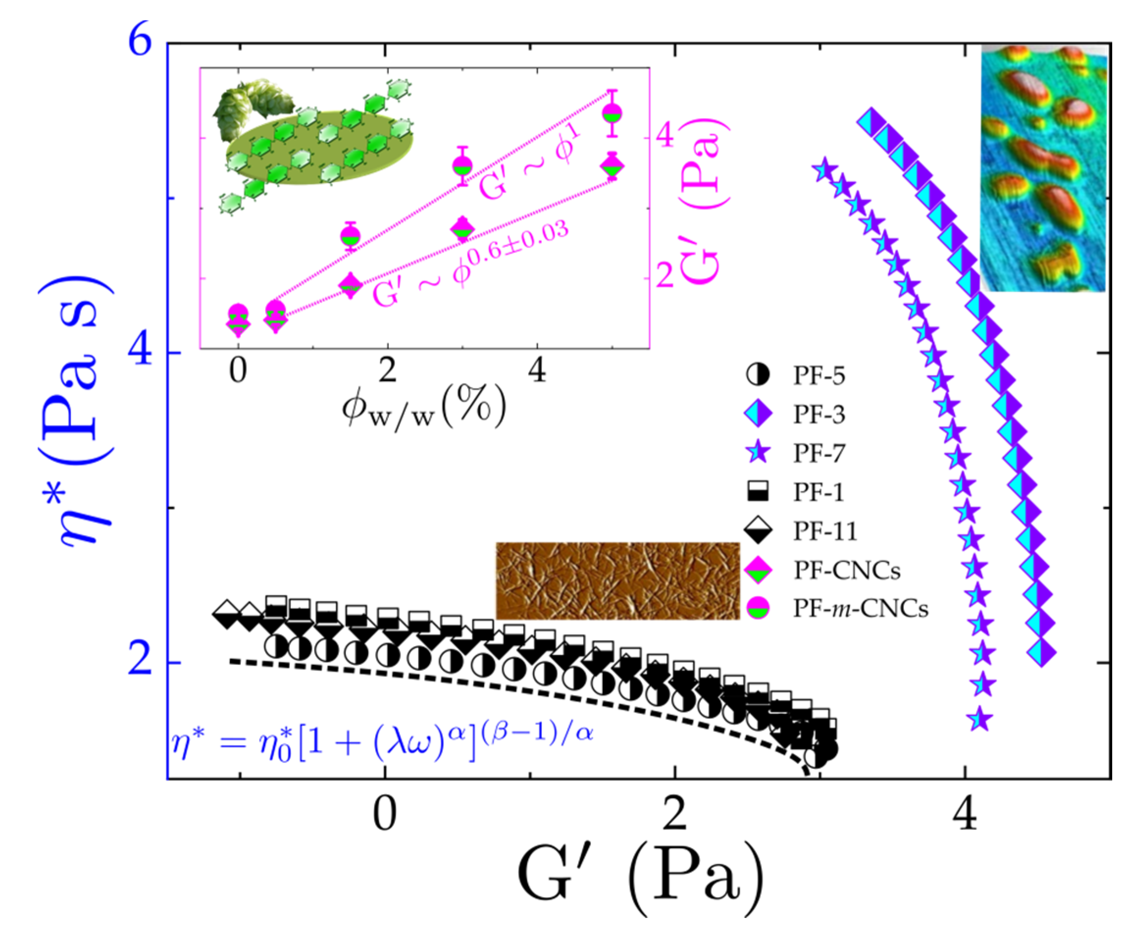 Polymers 13 02810 g008
