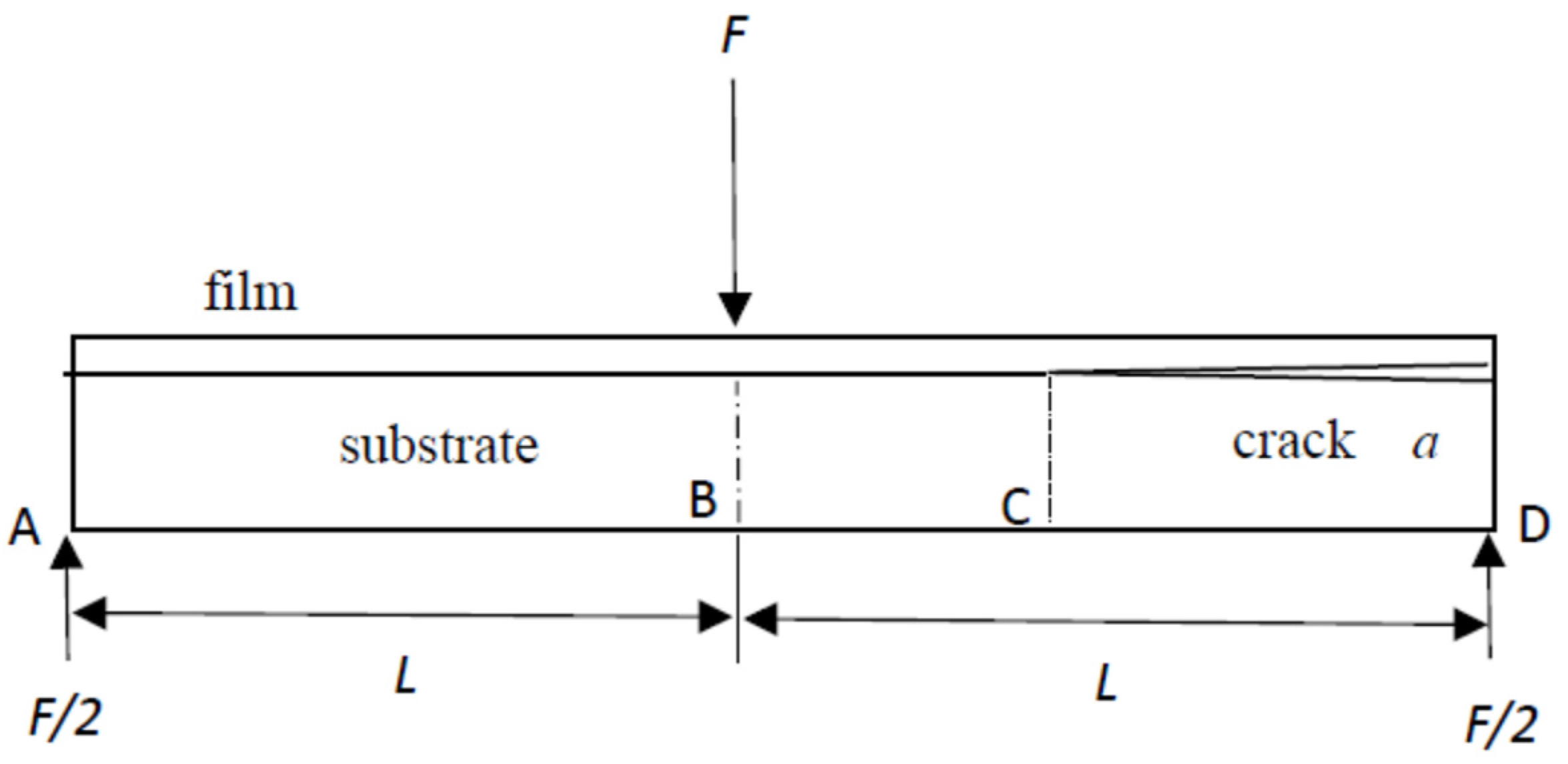 Polymers 13 02823 g002