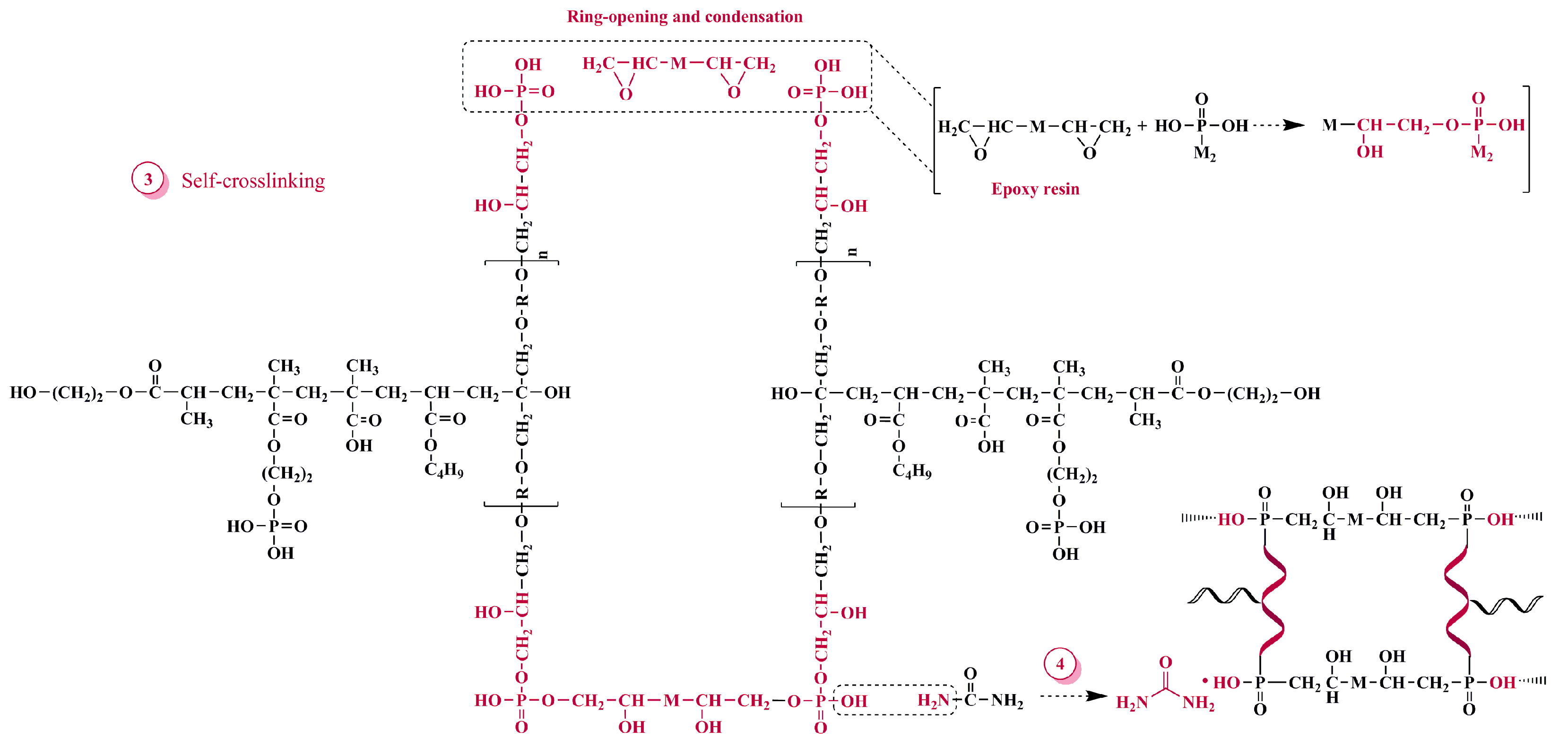 Polymers 13 02826 g004