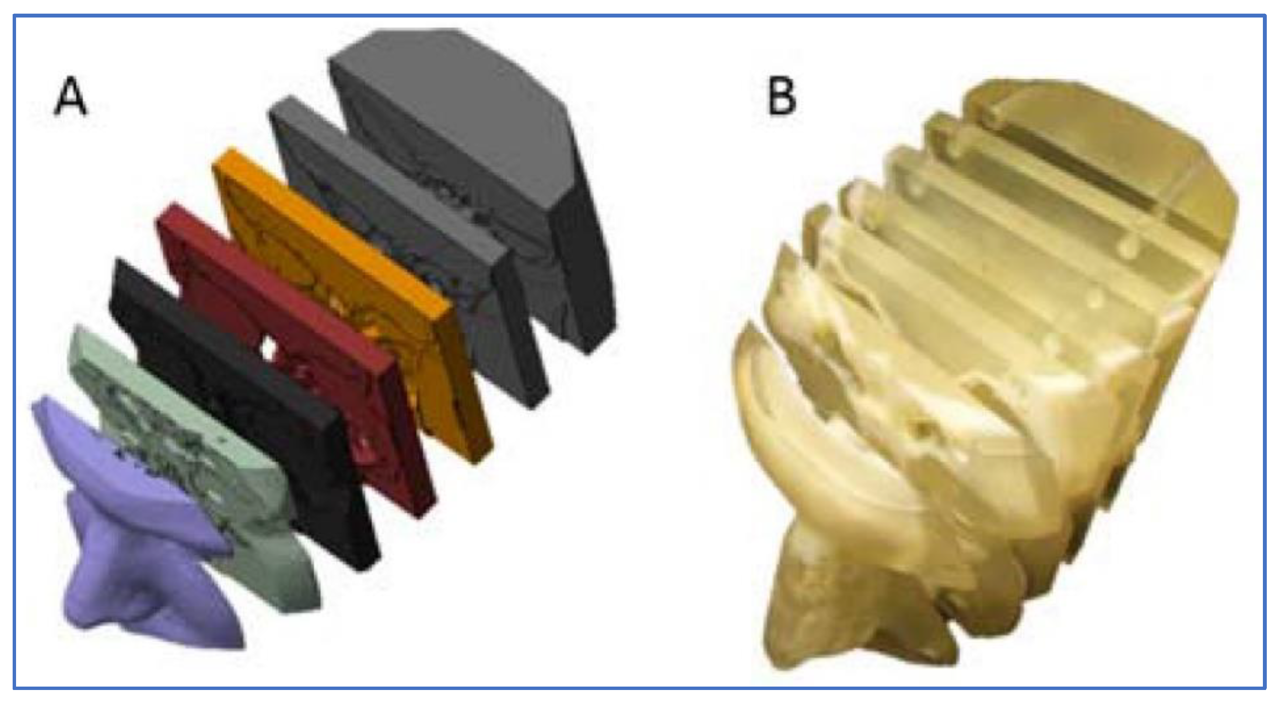 Polymers 13 02829 g004