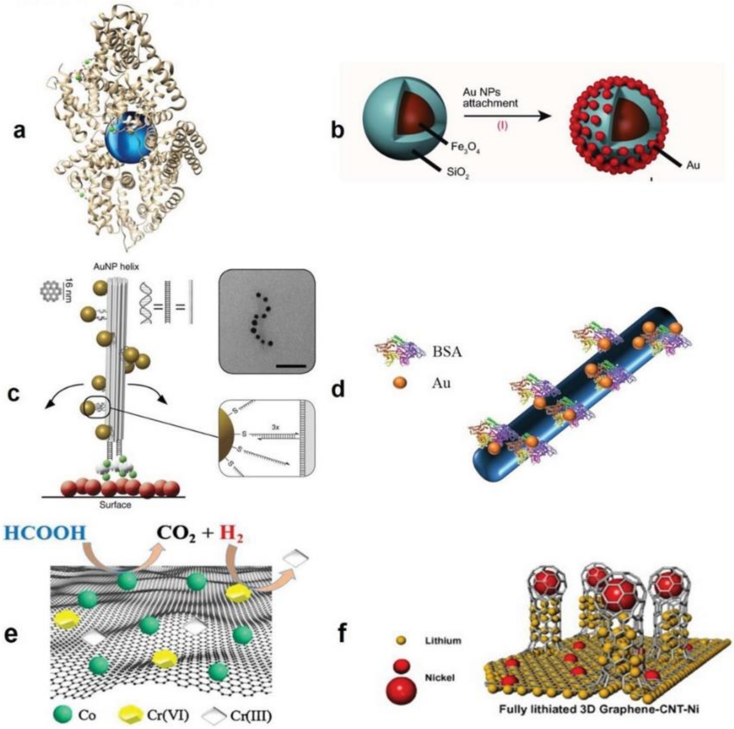 Polymers 13 02833 g002