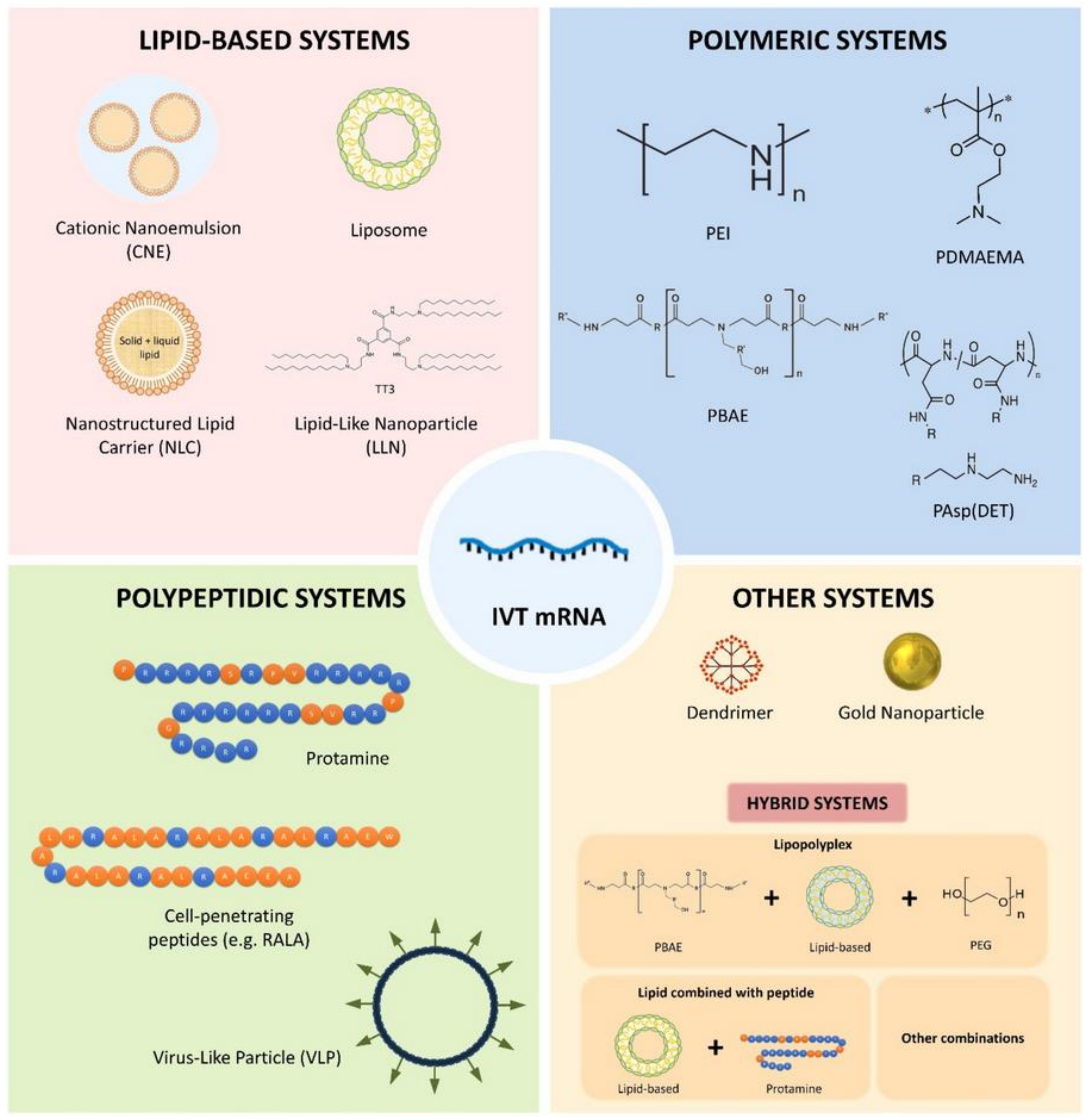 Polymers 13 02833 g004