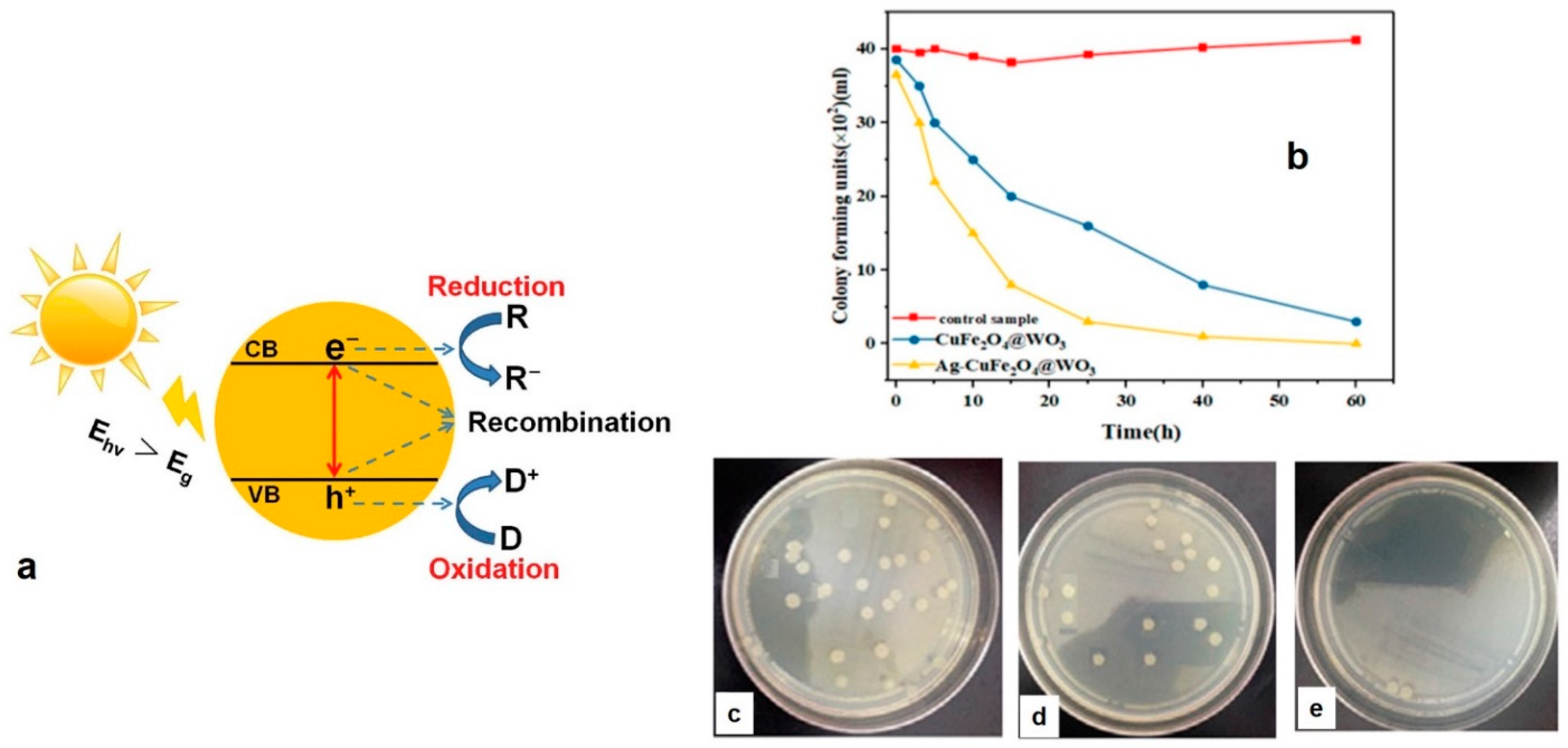 Polymers 13 02833 g005