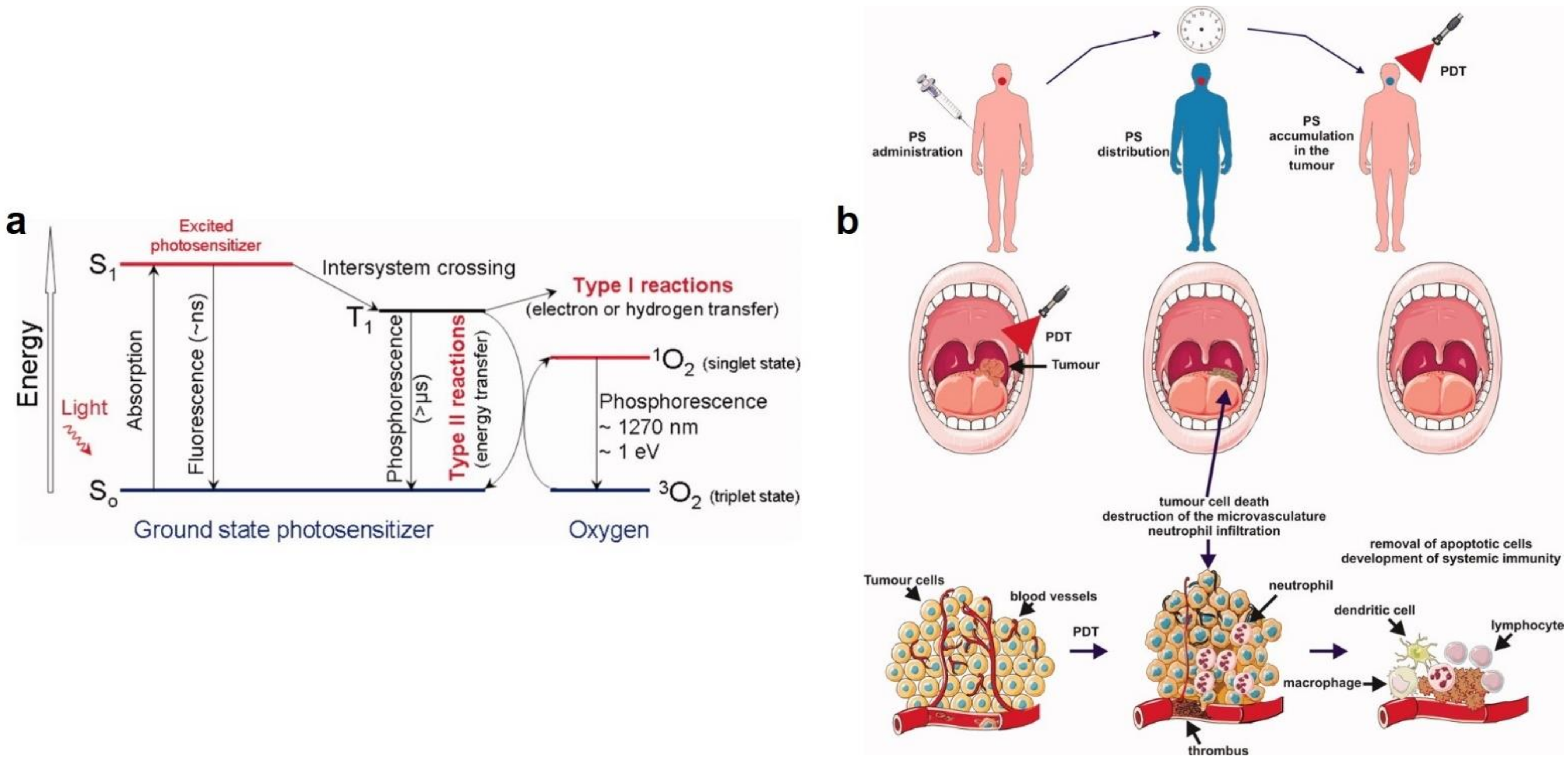 Polymers 13 02833 g007