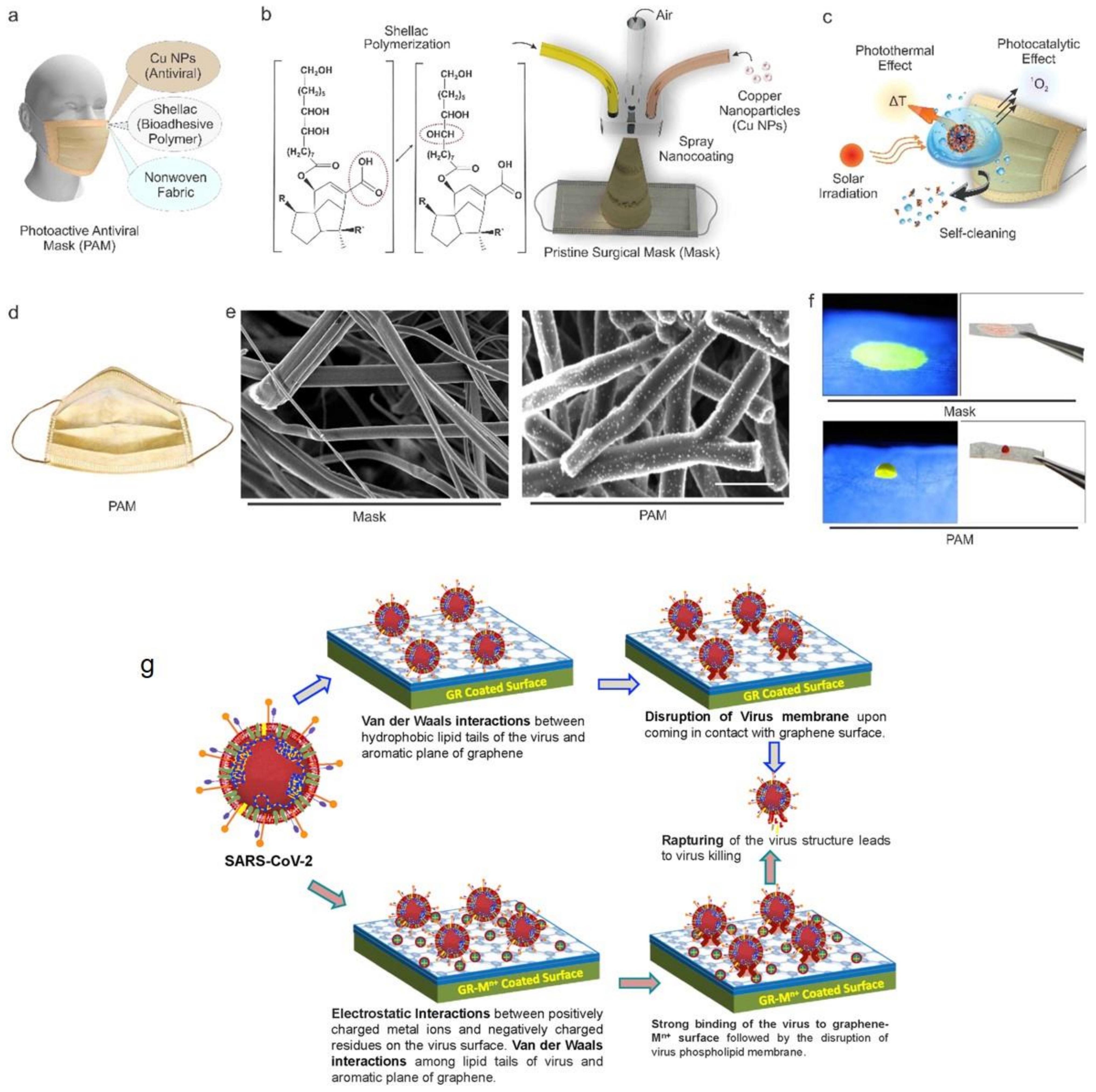 Polymers 13 02833 g009