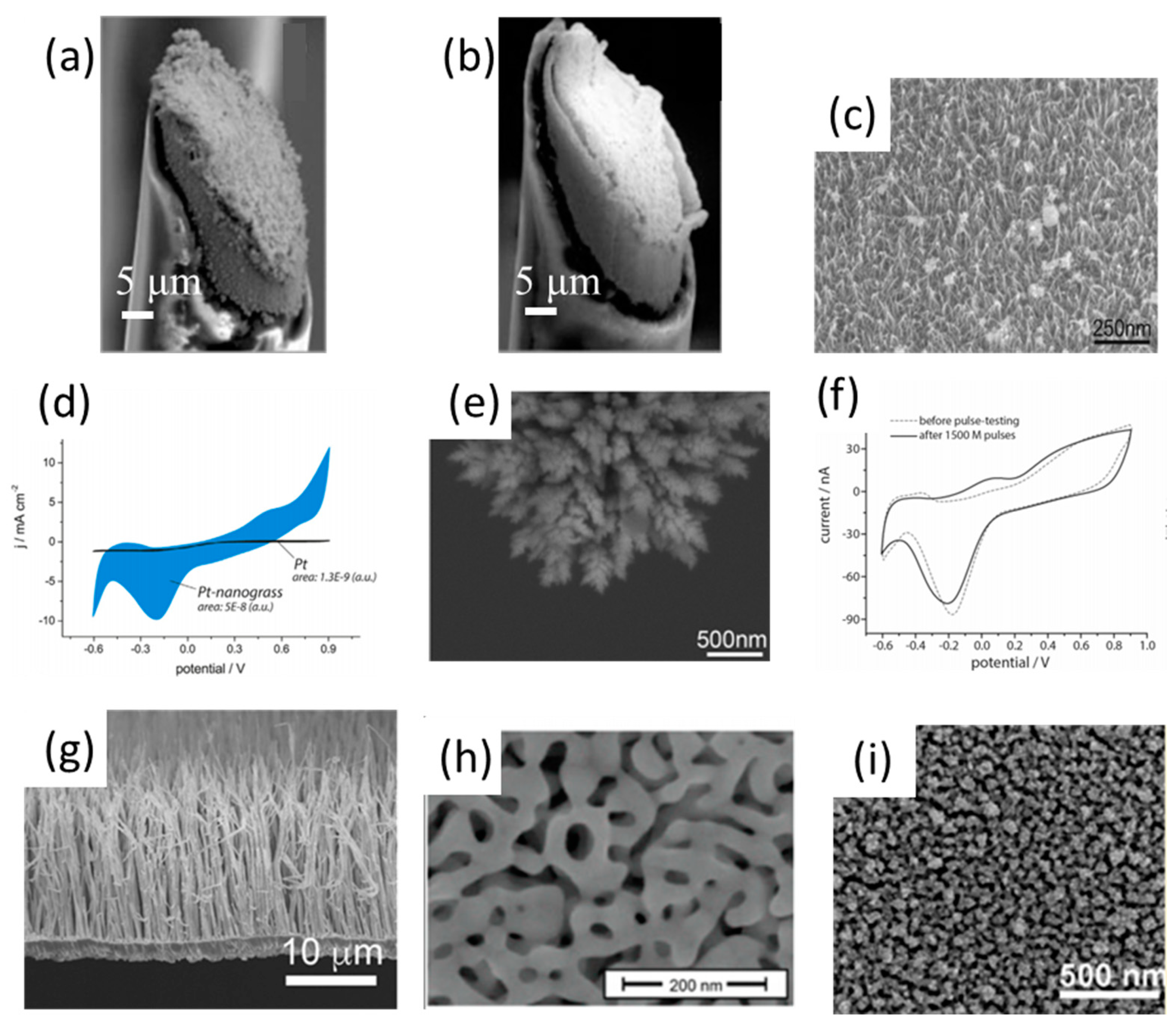 Polymers 13 02834 g002