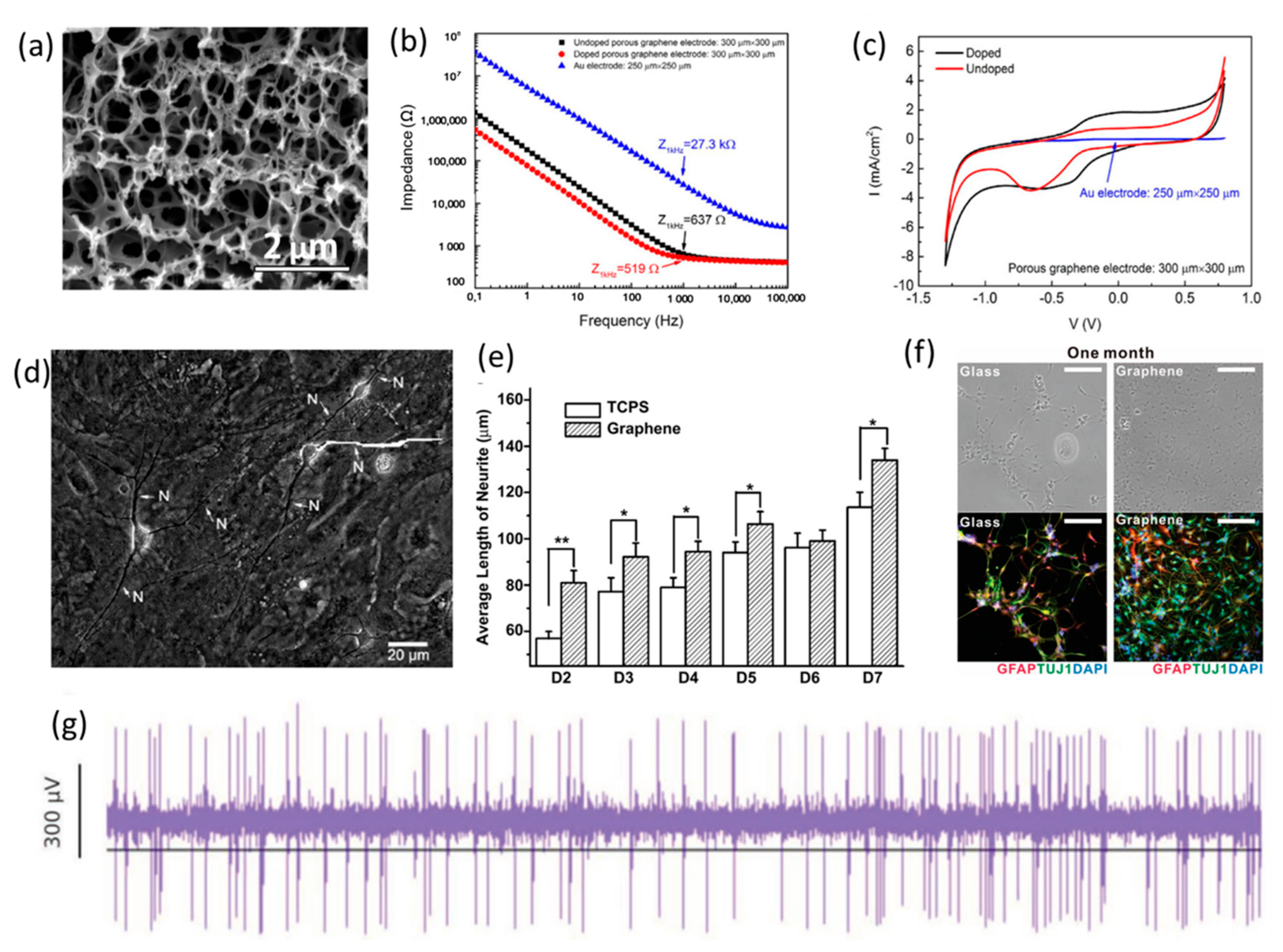 Polymers 13 02834 g005