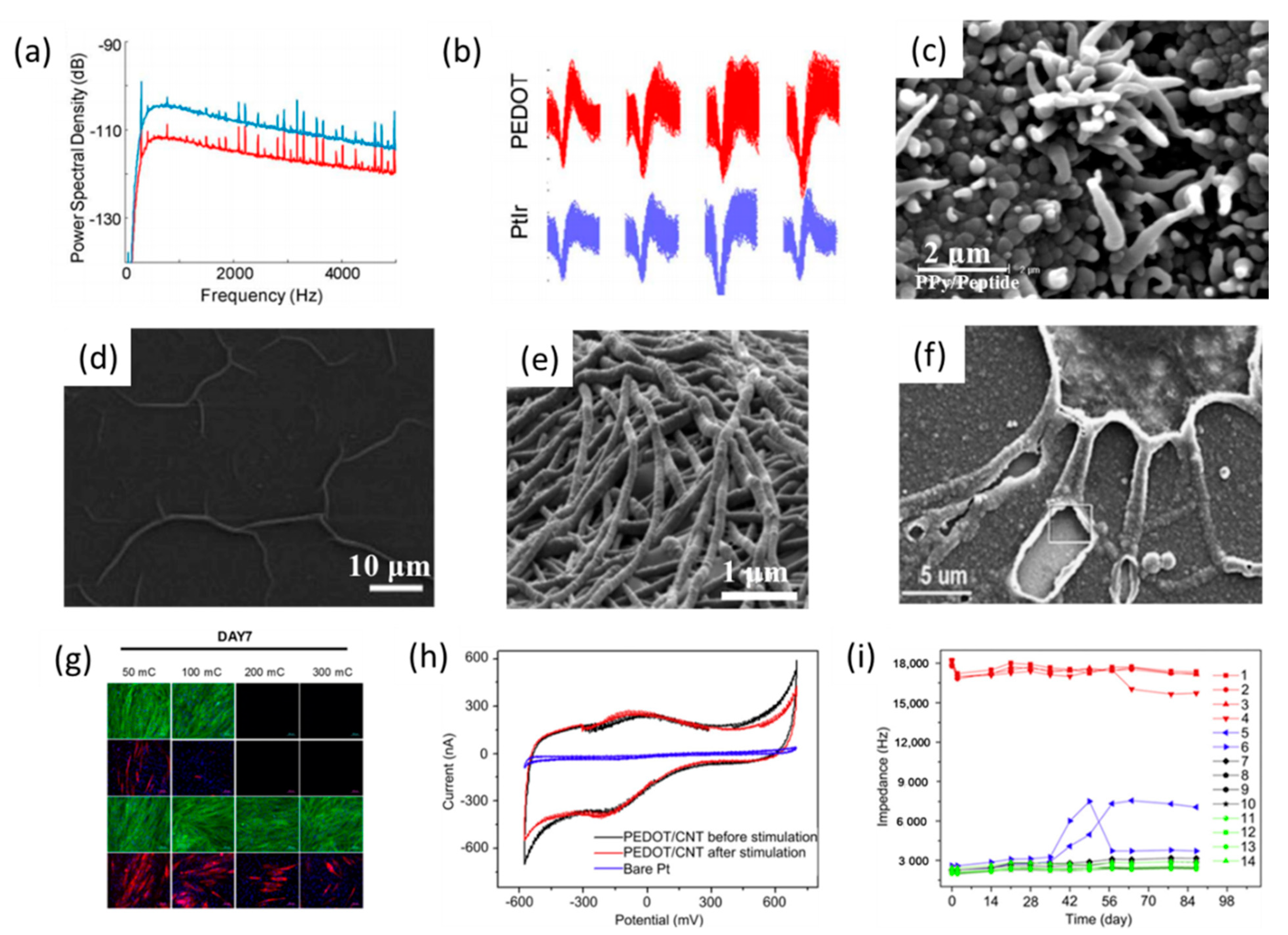Polymers 13 02834 g006