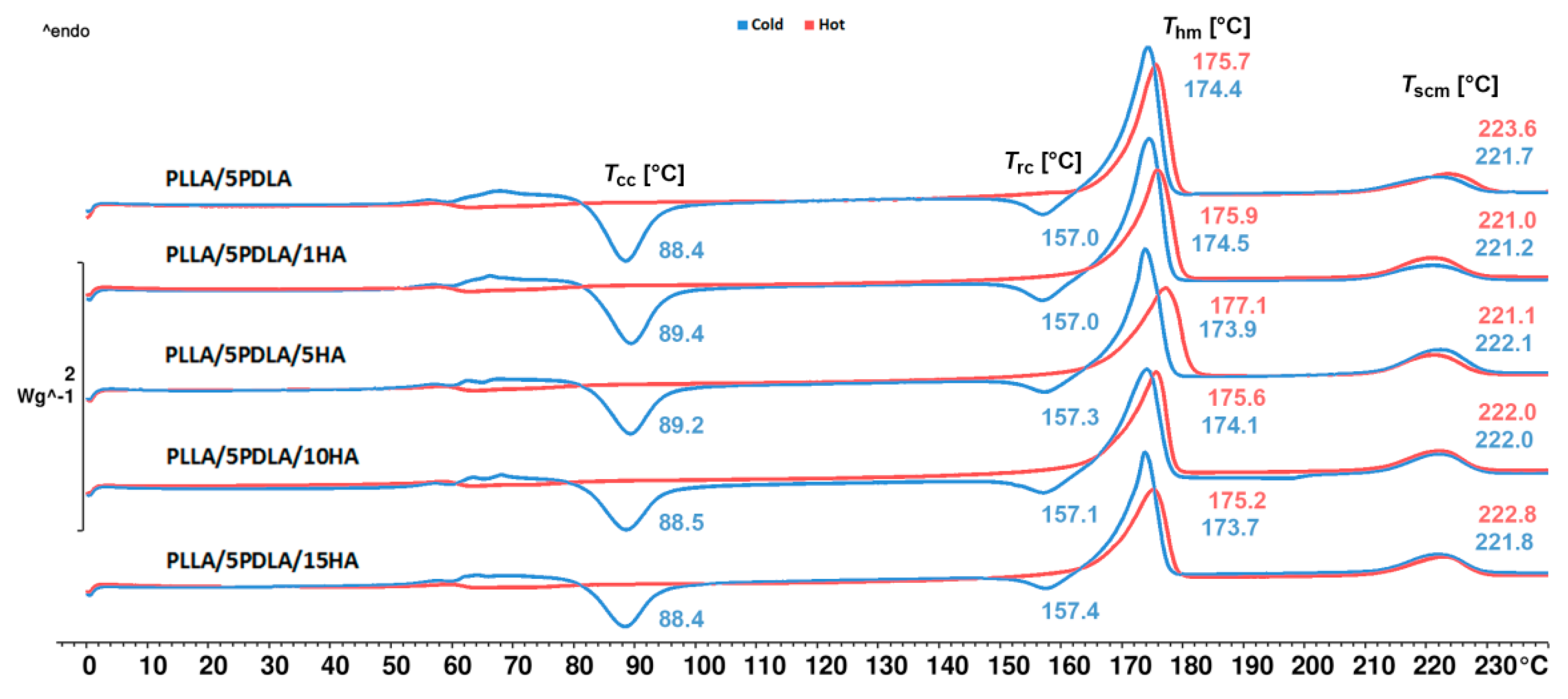 Polymers 13 02835 g002