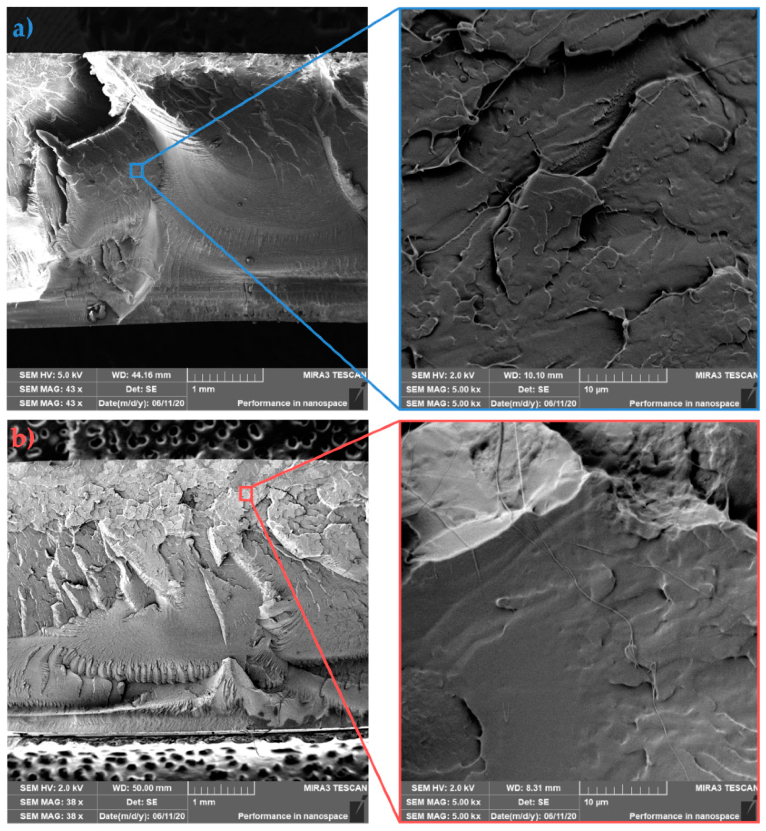 Polymers 13 02835 g009