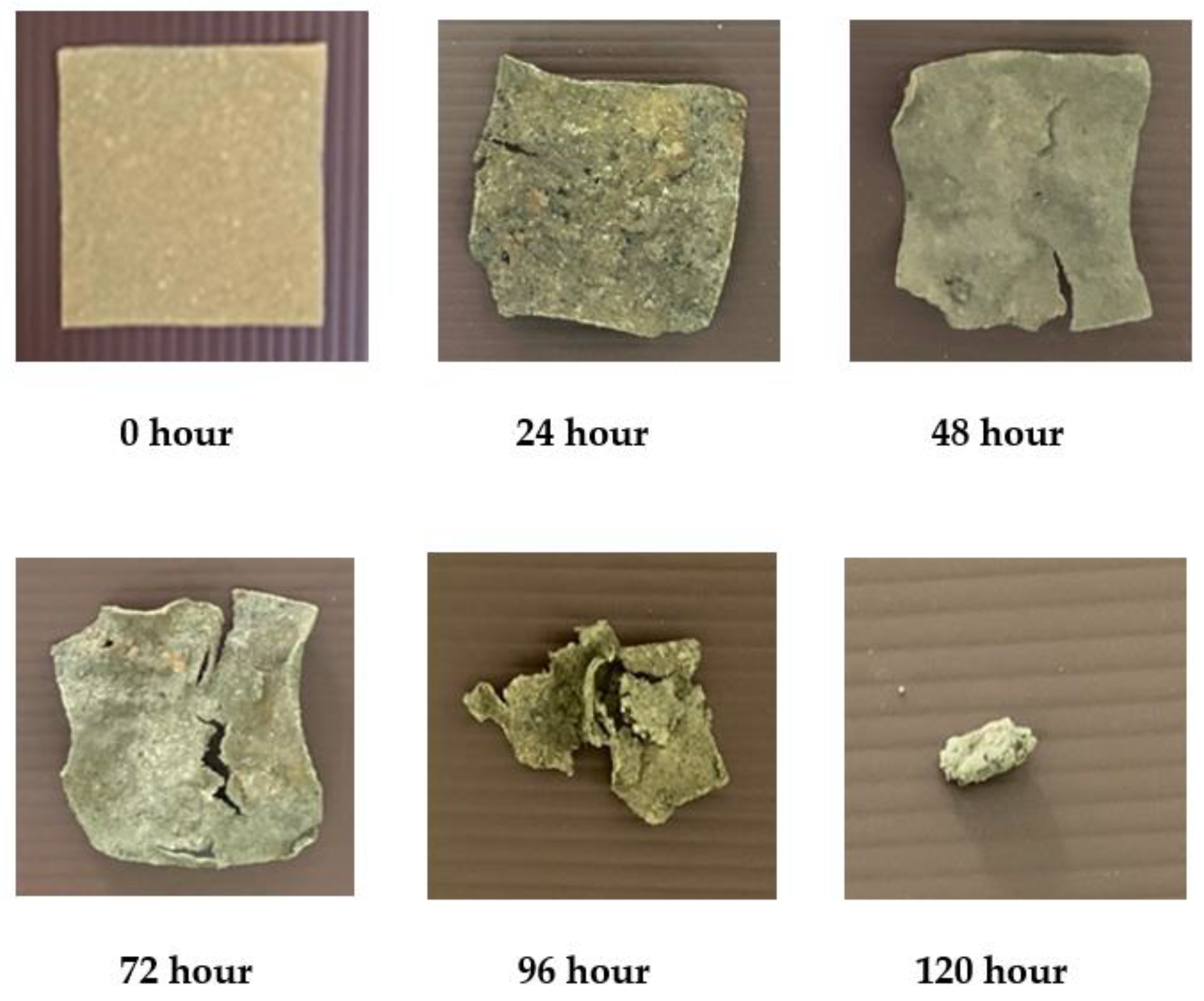 Polymers 13 02838 g005