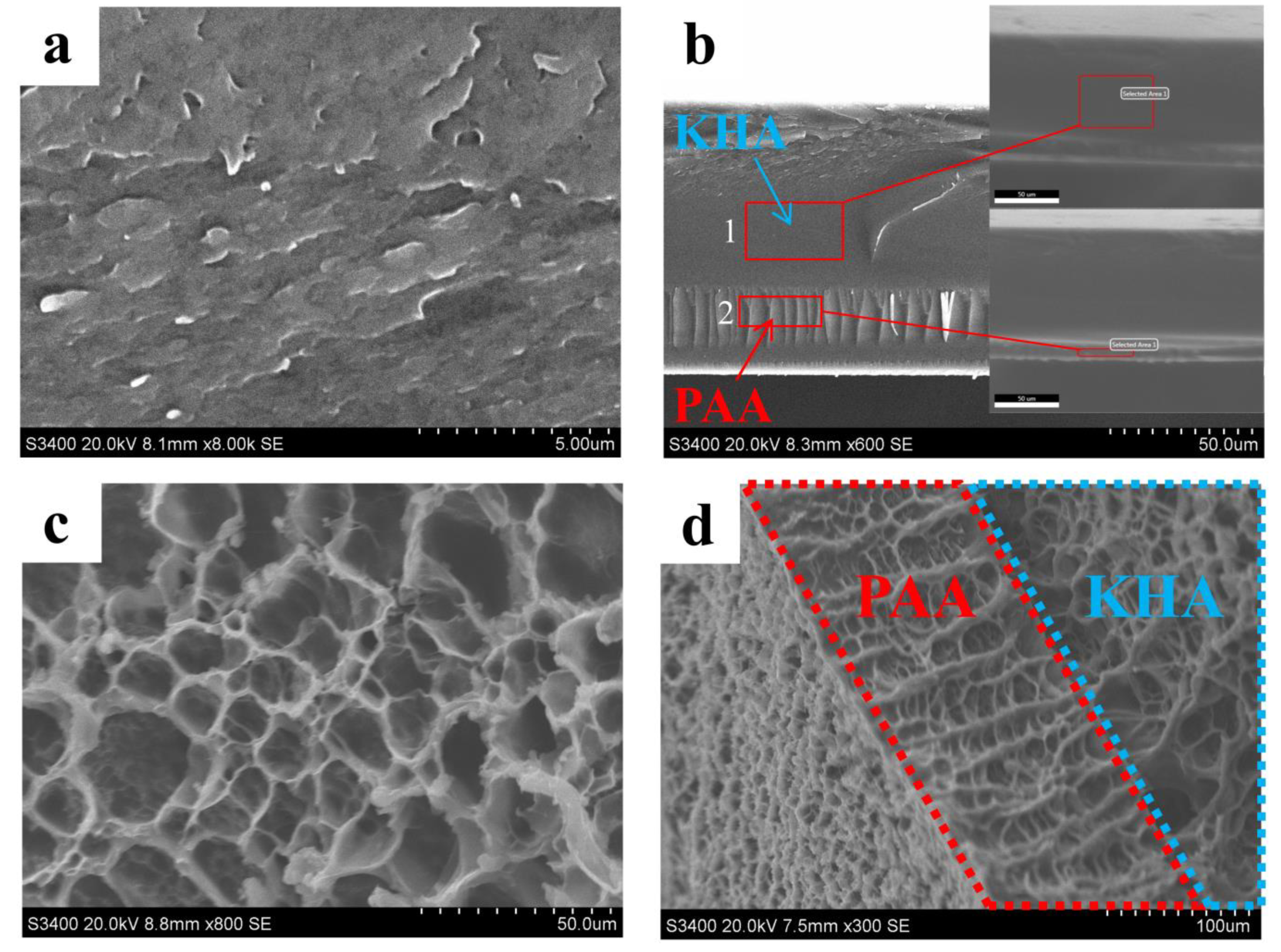 Polymers 13 02844 g007