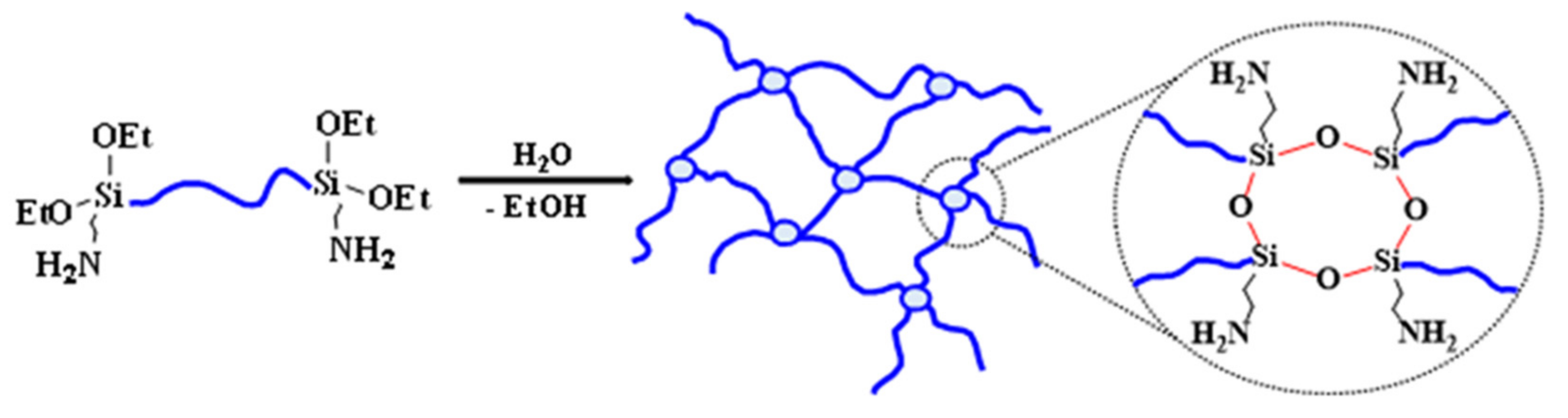 Polymers 13 02848 g004