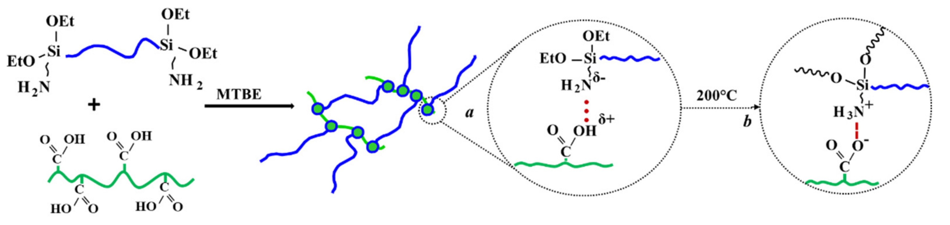 Polymers 13 02848 g005